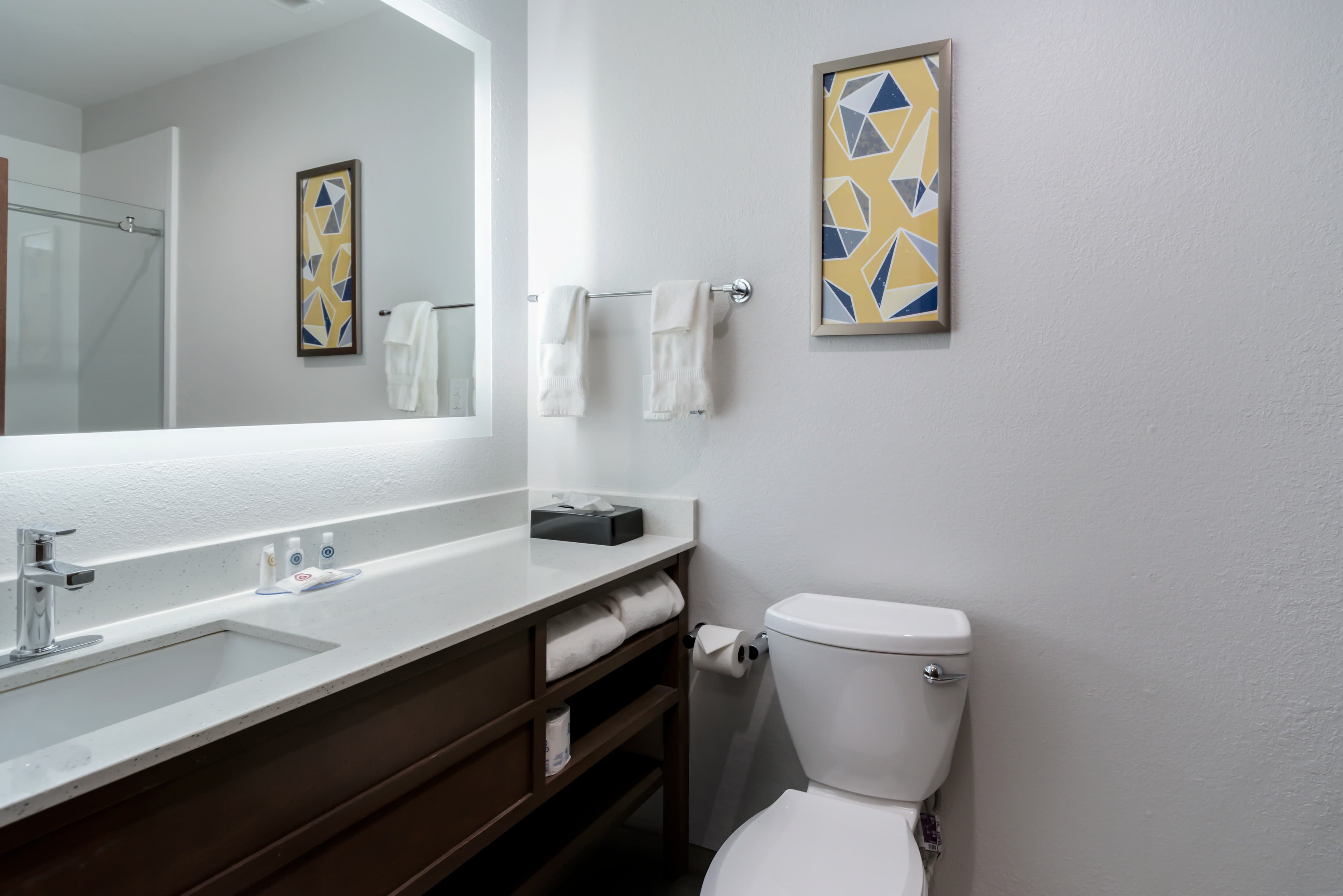 Comfort Inn & Suites Lexington South — 6
