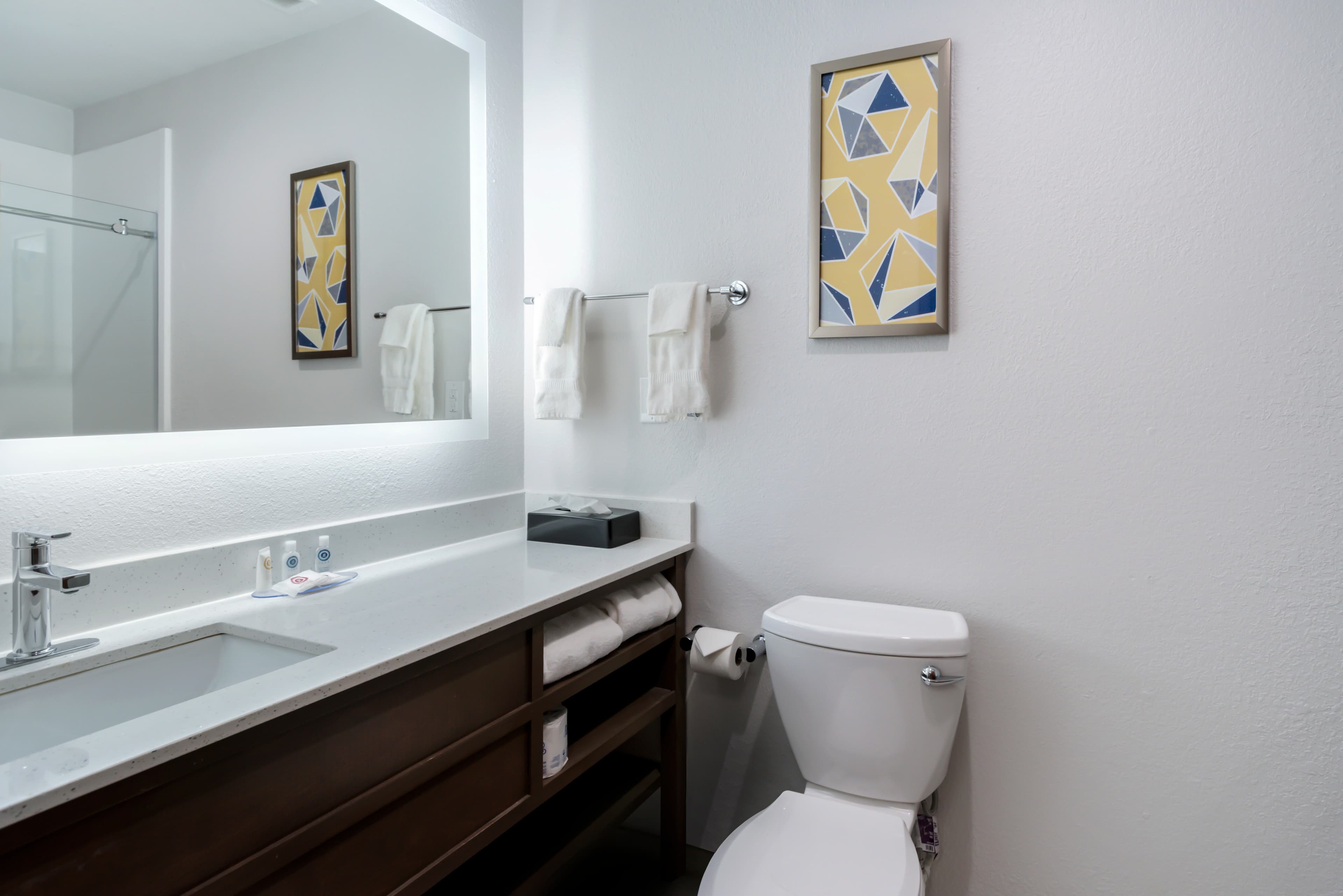 Comfort Inn & Suites Lexington South — 11