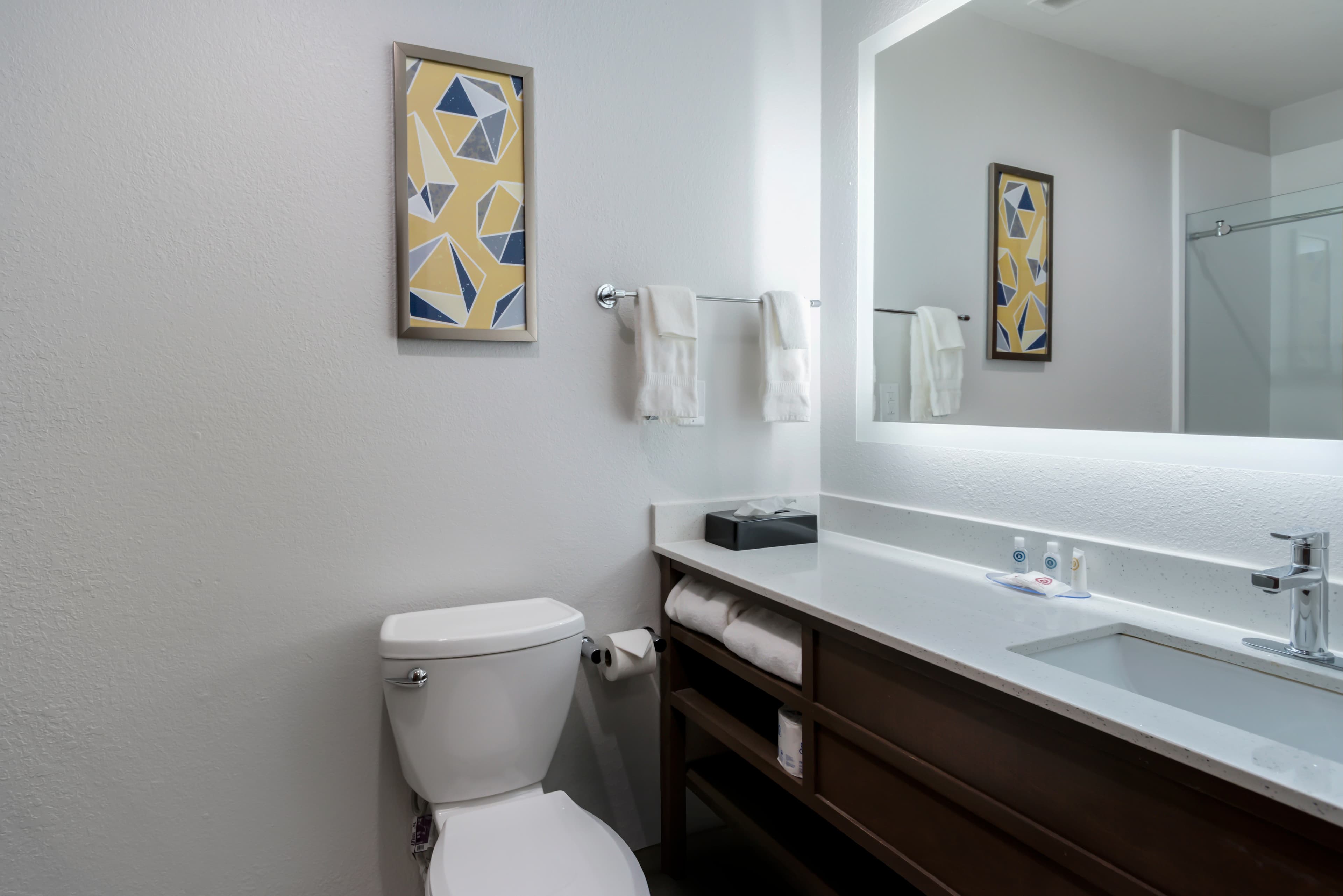 Comfort Inn & Suites Lexington South — 45