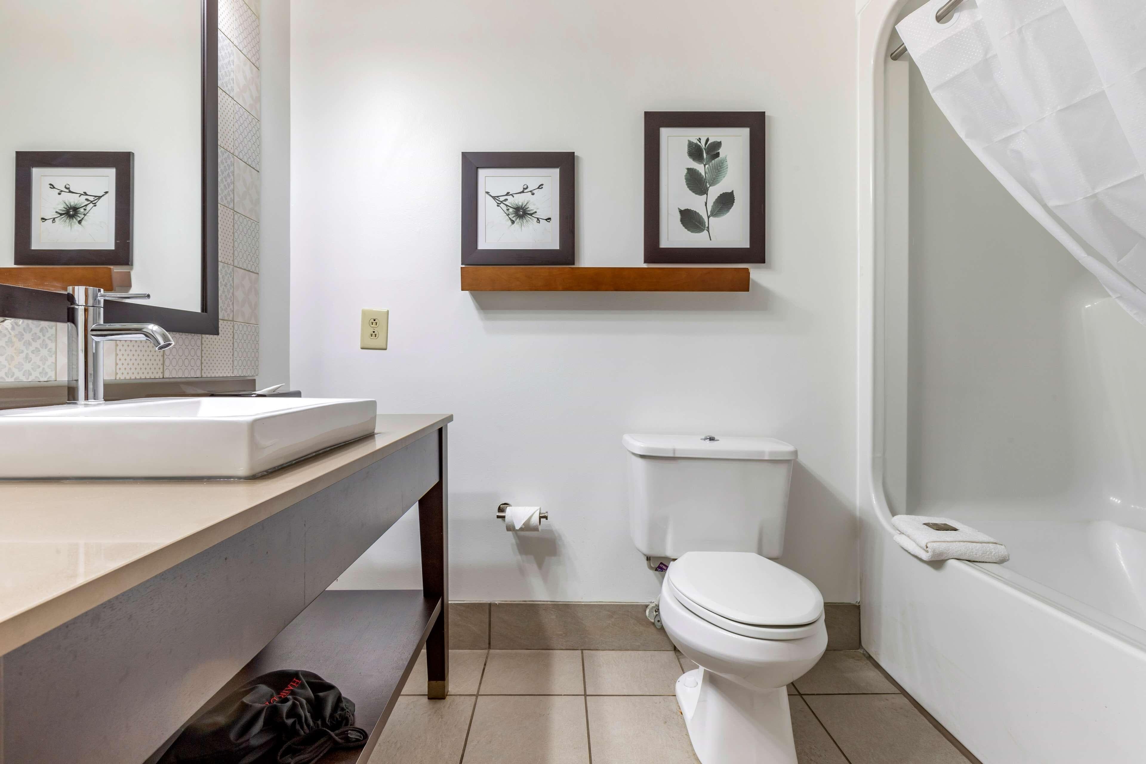 Country Inn & Suites by Radisson, Lumberton, NC - Image 4