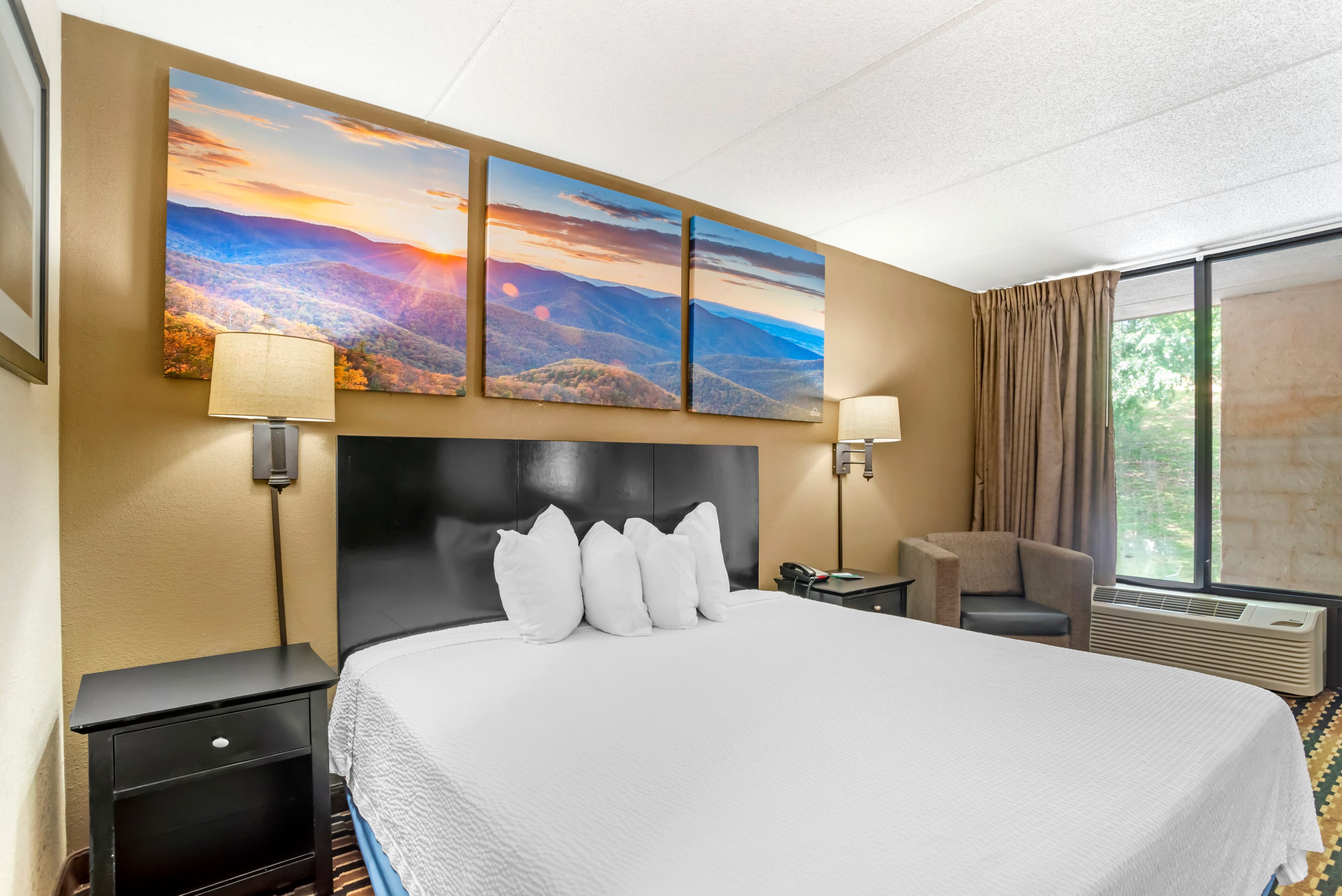 Quality Inn near Speedway — 6