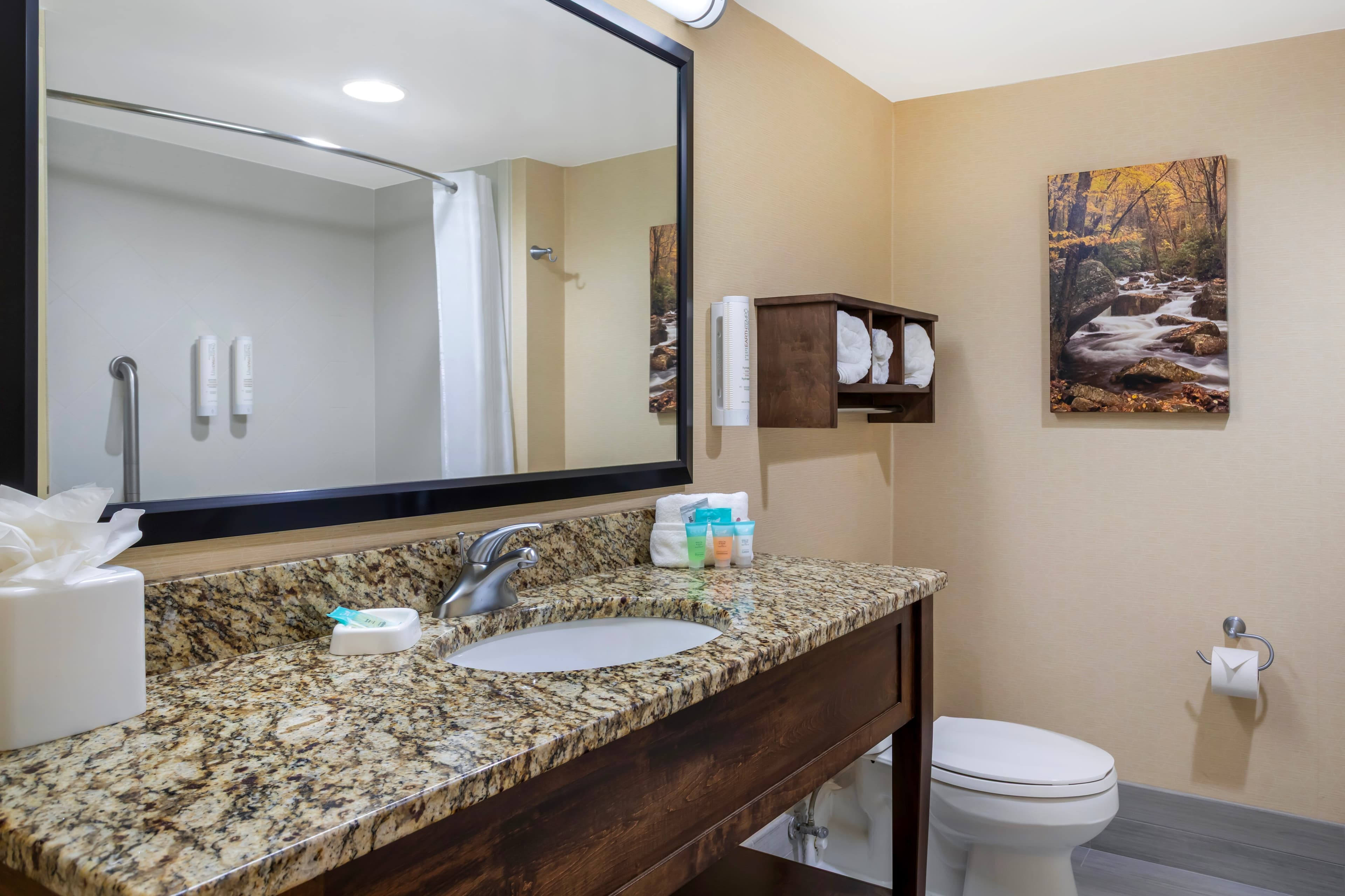 Clarion Pointe Cherokee — 14