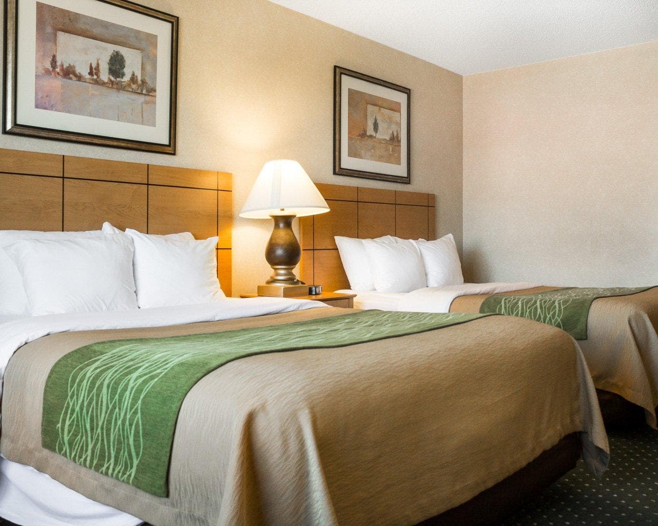 Comfort Inn Jamestown South — 12