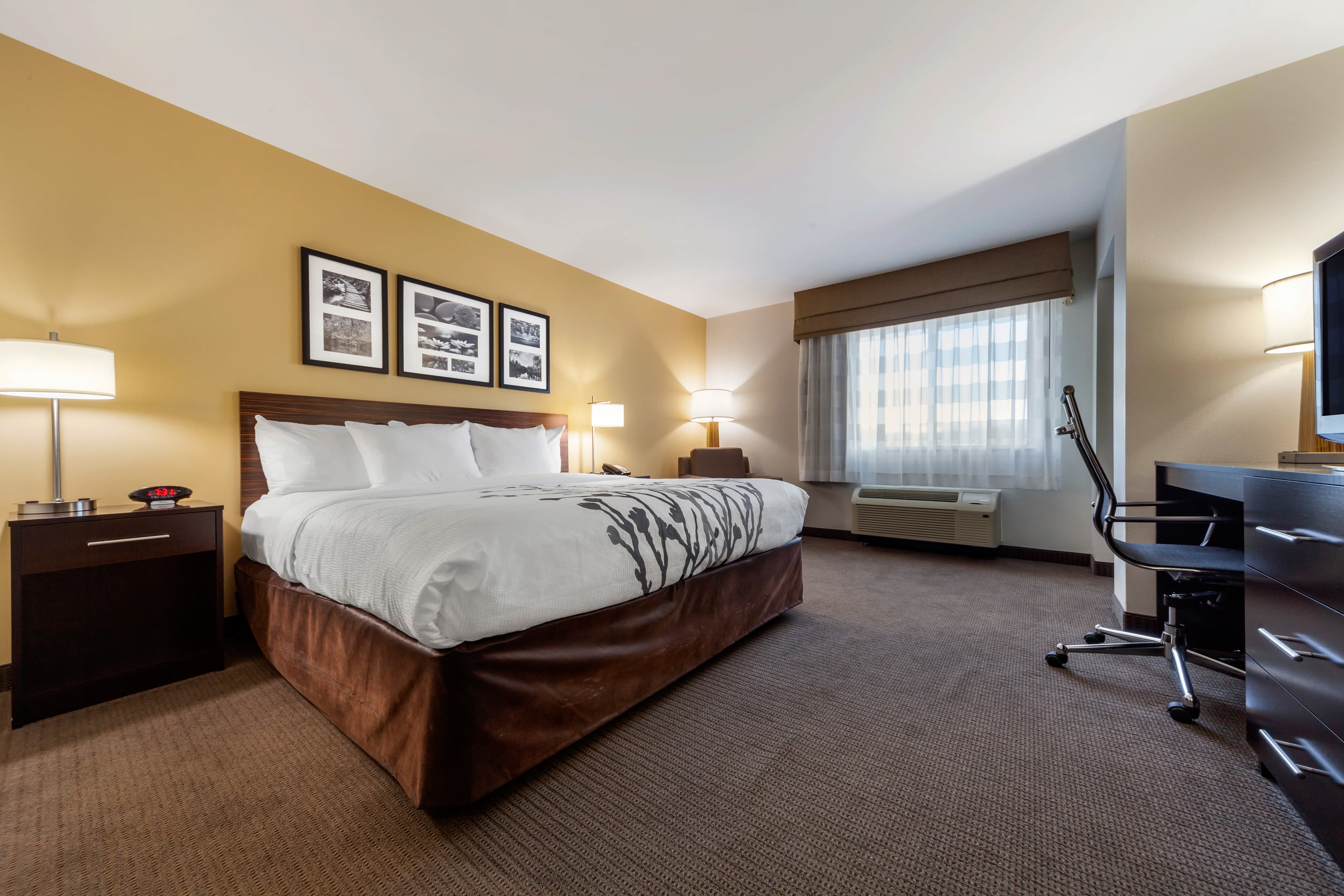 Sleep Inn & Suites Bismarck I-94 - Image 2