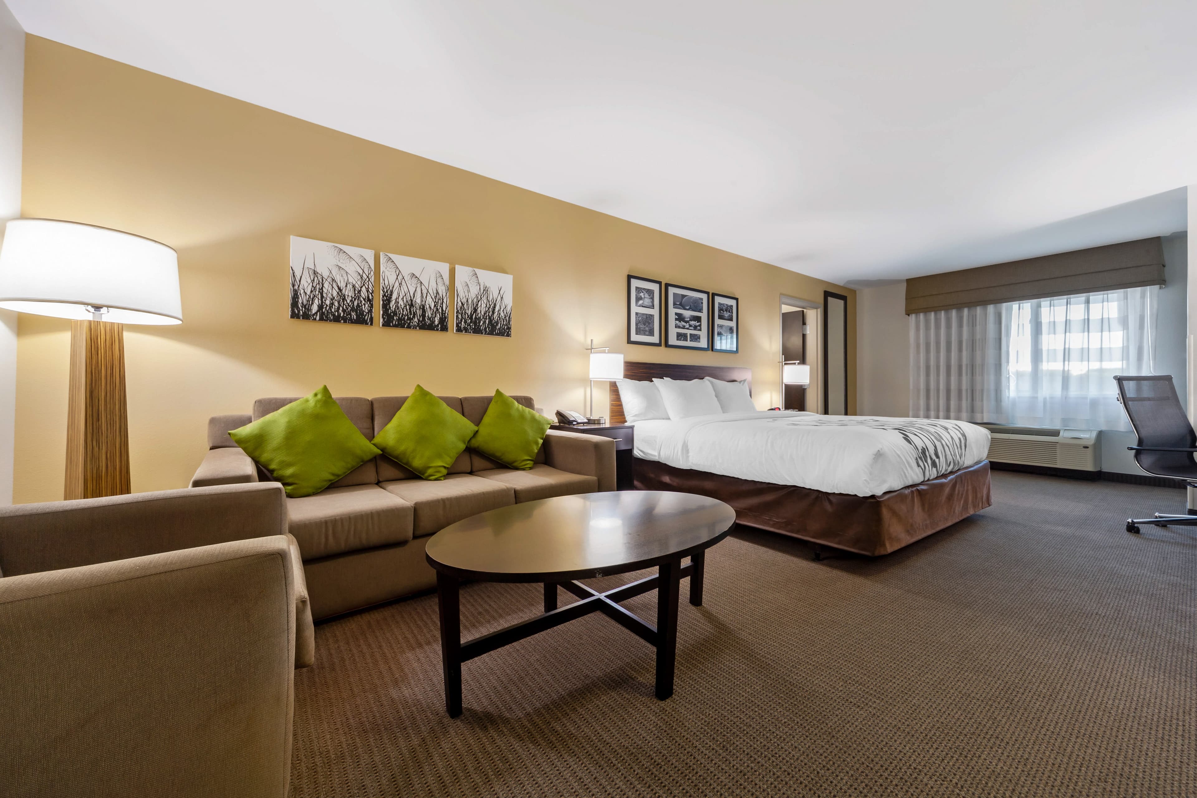 Sleep Inn & Suites Bismarck I-94 — 37
