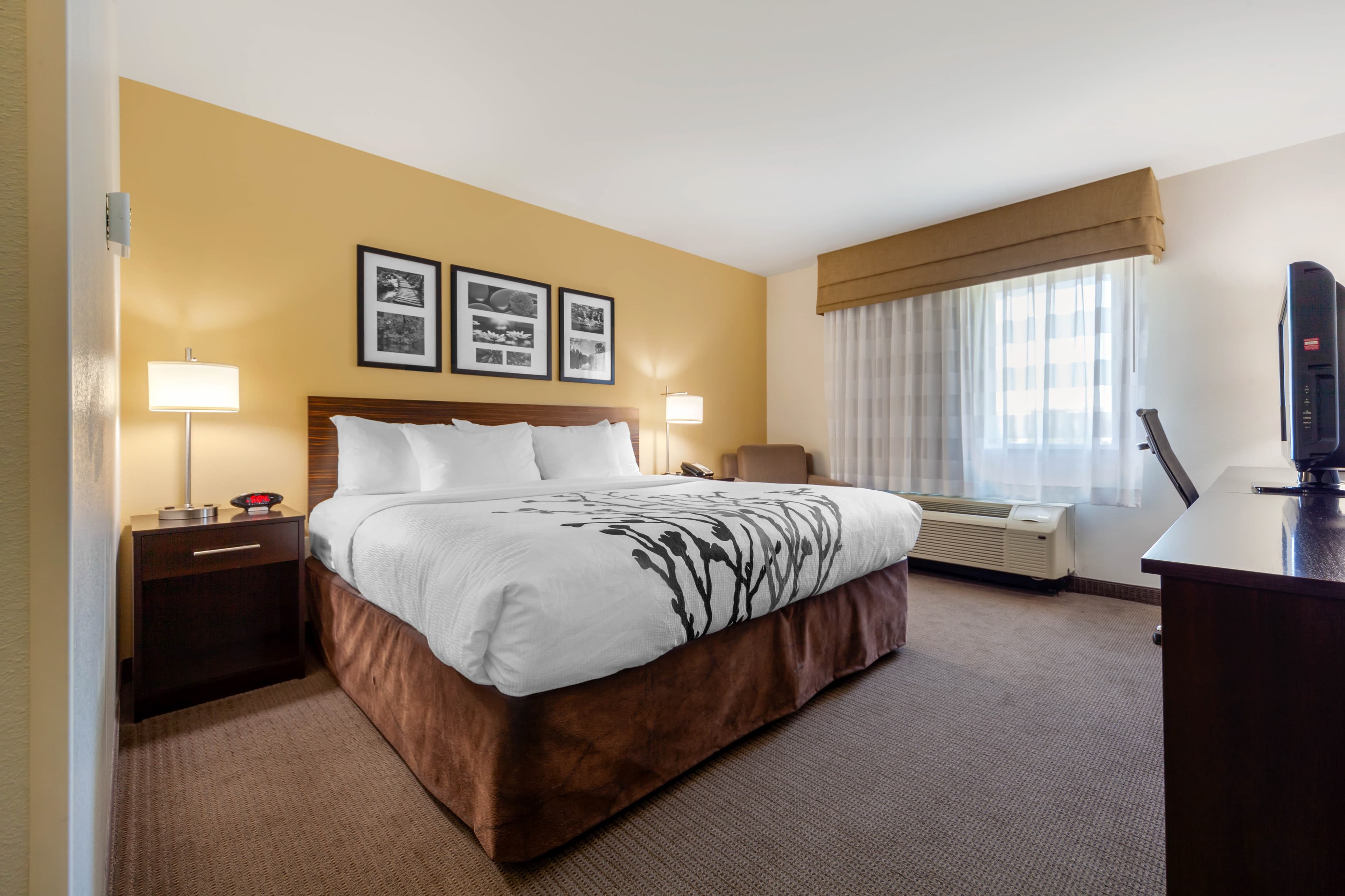 Sleep Inn & Suites Bismarck I-94 — 14