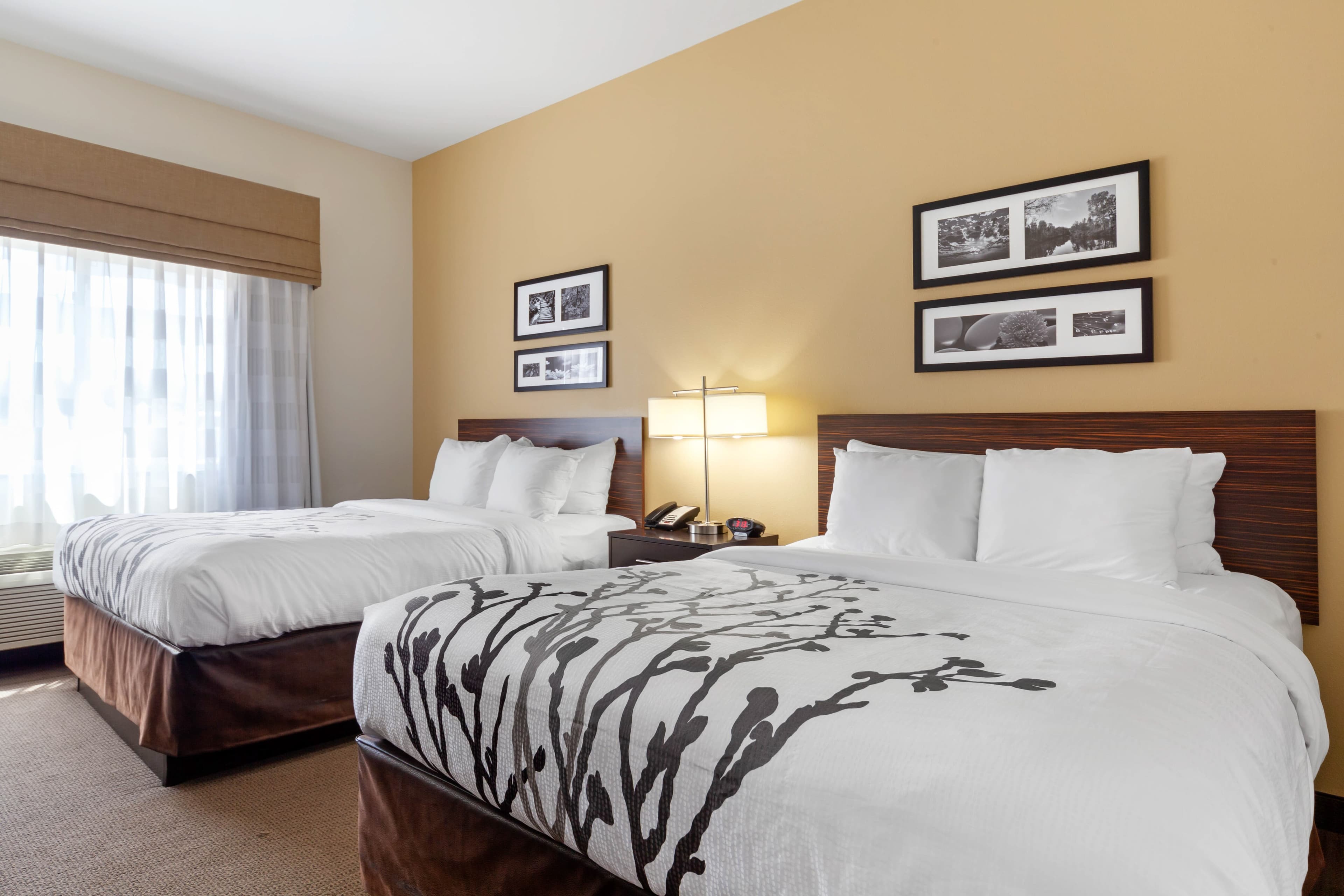 Sleep Inn & Suites Bismarck I-94 — 12