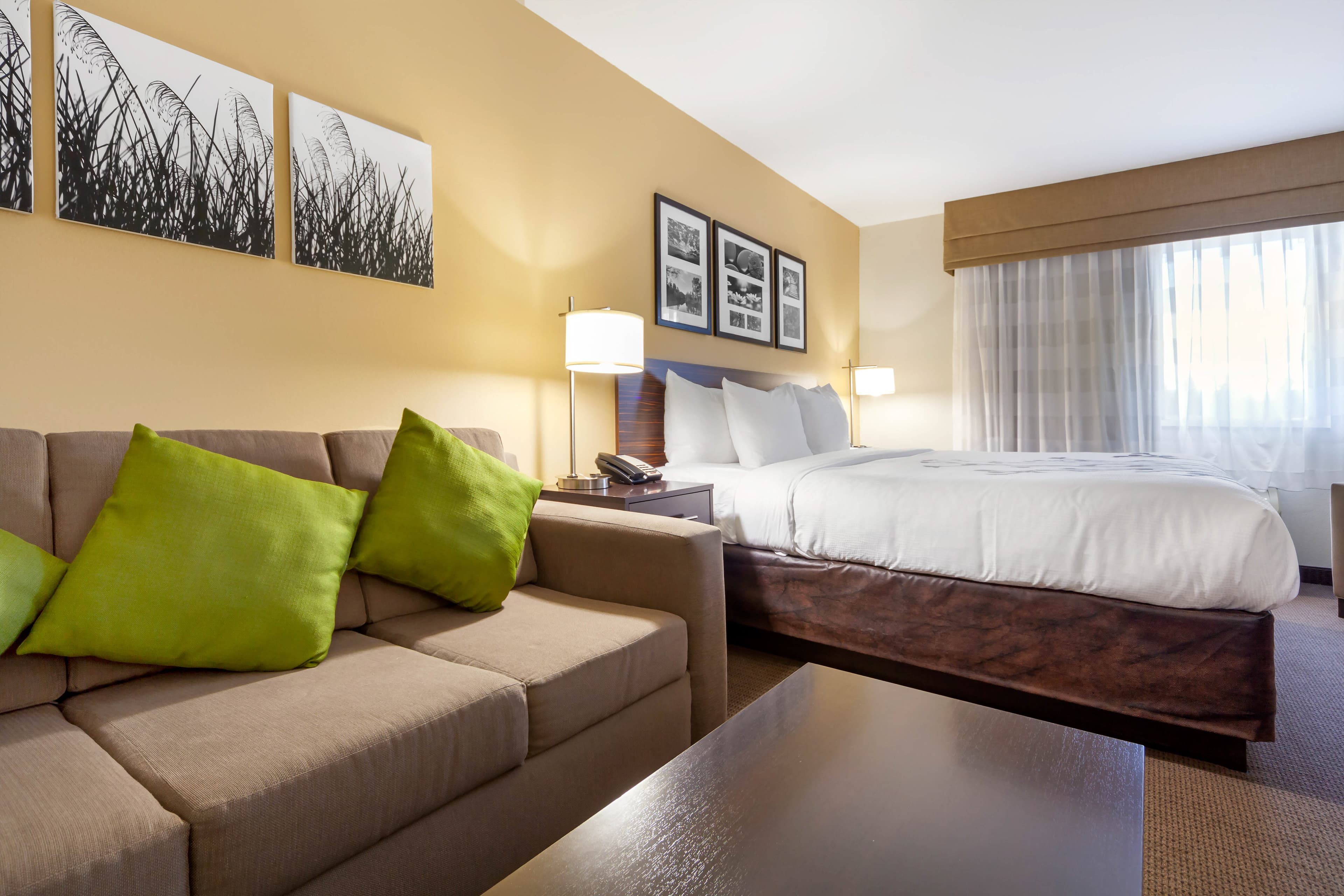 Sleep Inn & Suites Bismarck I-94 — 44