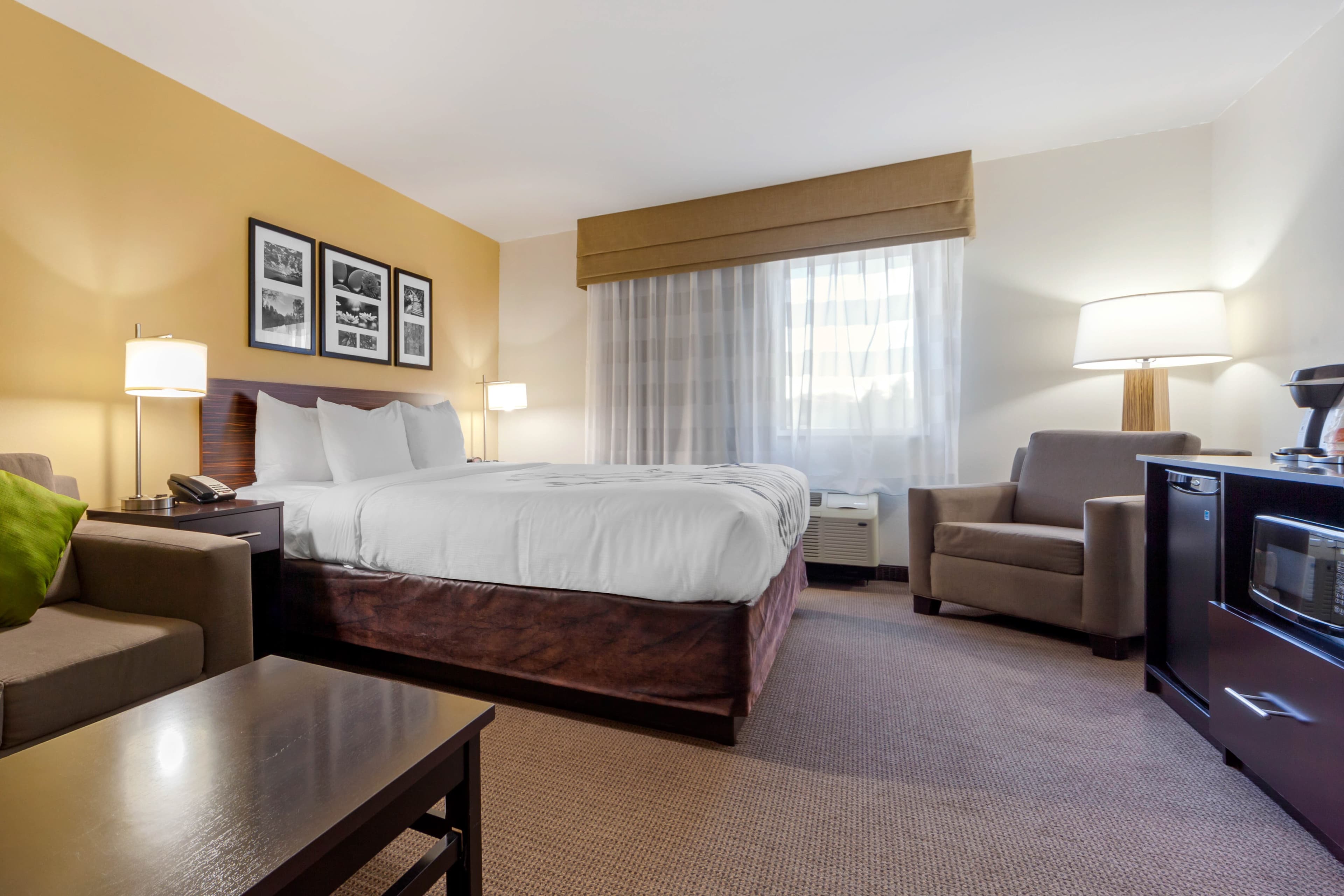 Sleep Inn & Suites Bismarck I-94 — 46
