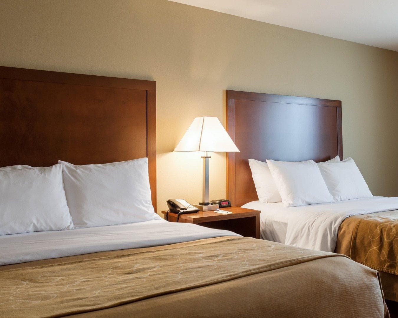 Comfort Inn & Suites Watford City - Image 5