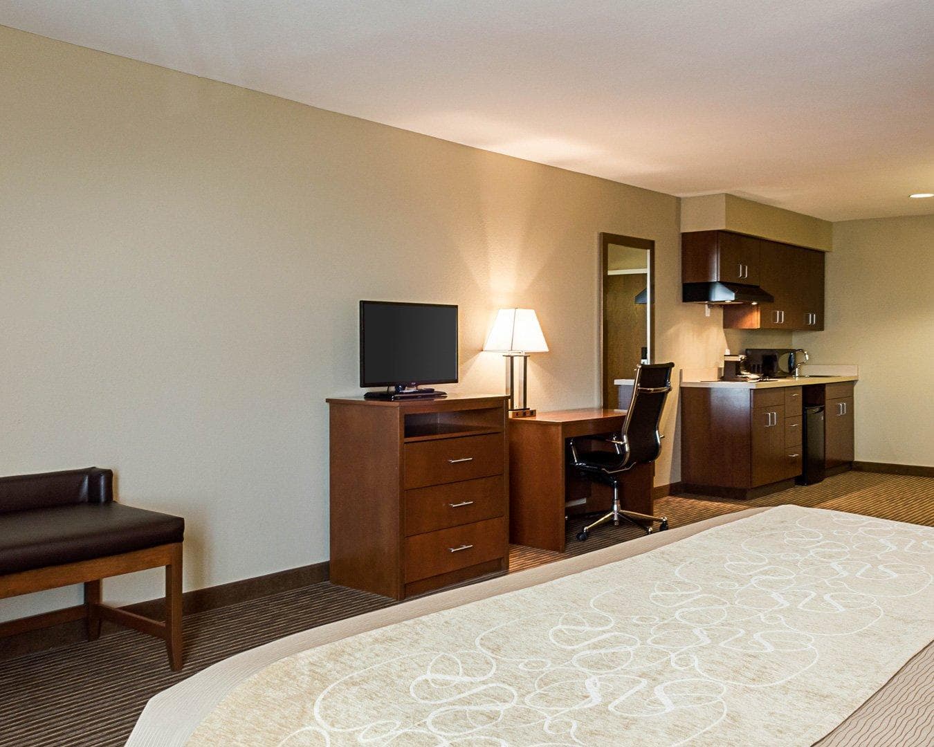 Comfort Inn & Suites Watford City — 19