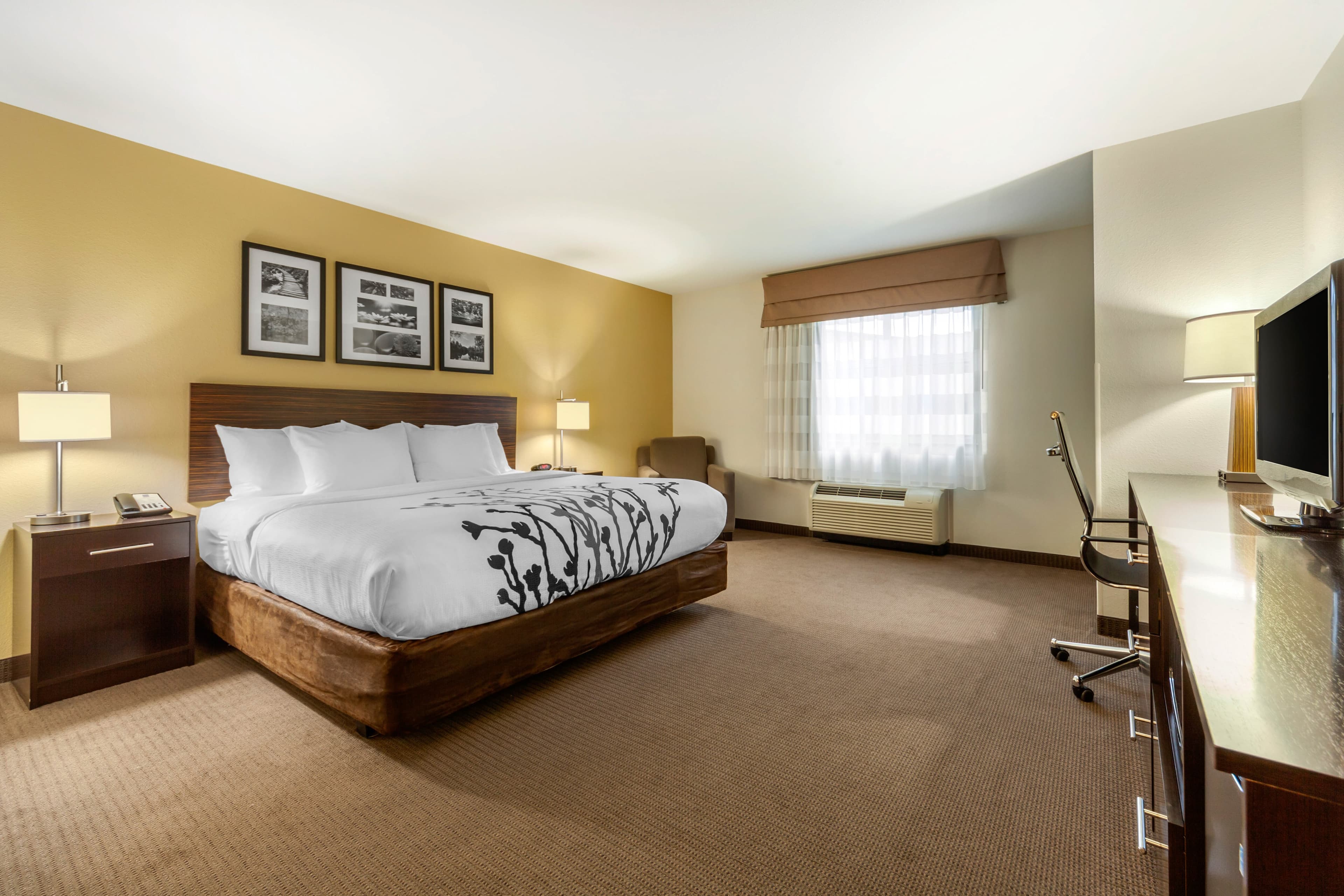 Sleep Inn & Suites Fargo Medical Center - Image 2