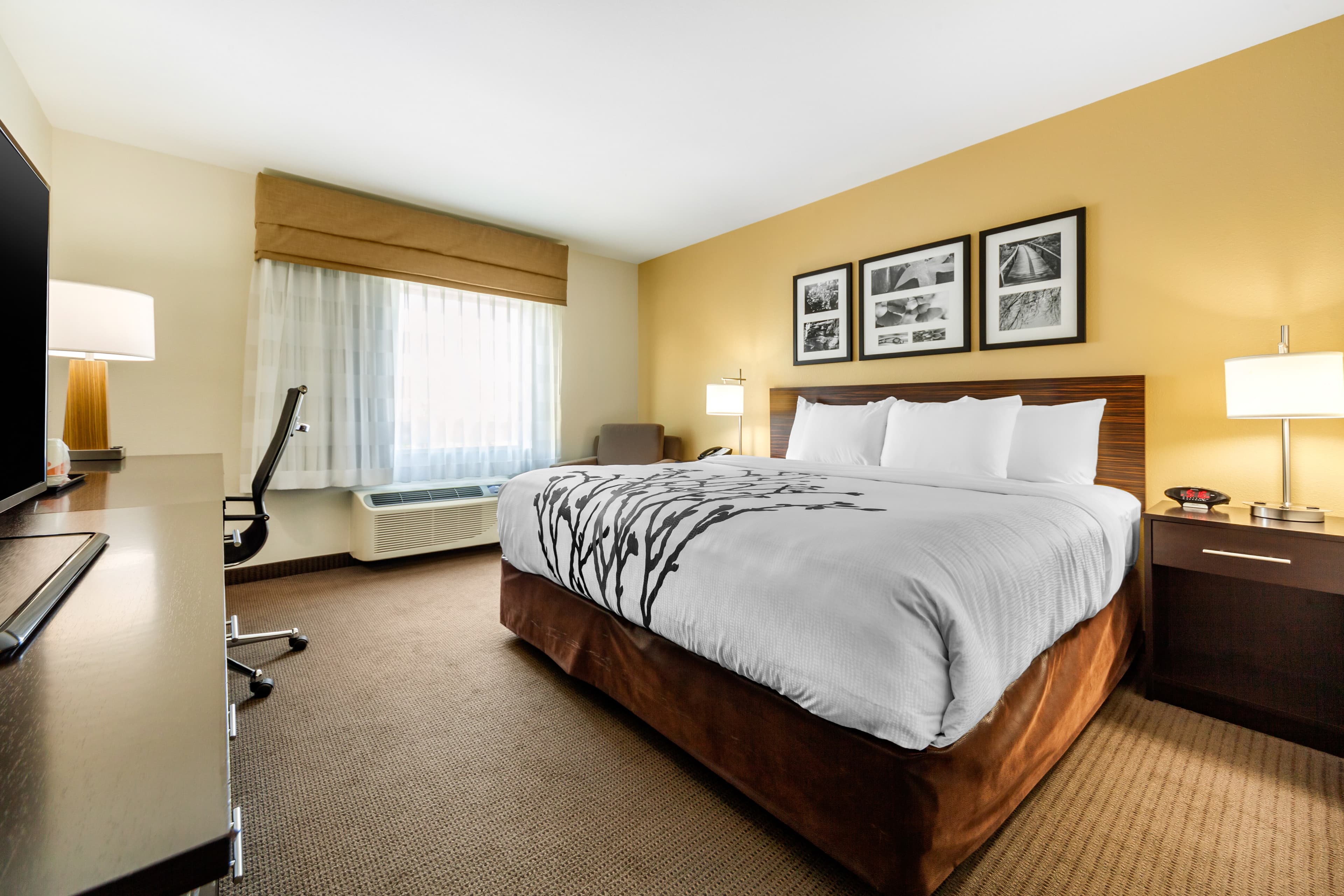Sleep Inn & Suites Fargo Medical Center — 11