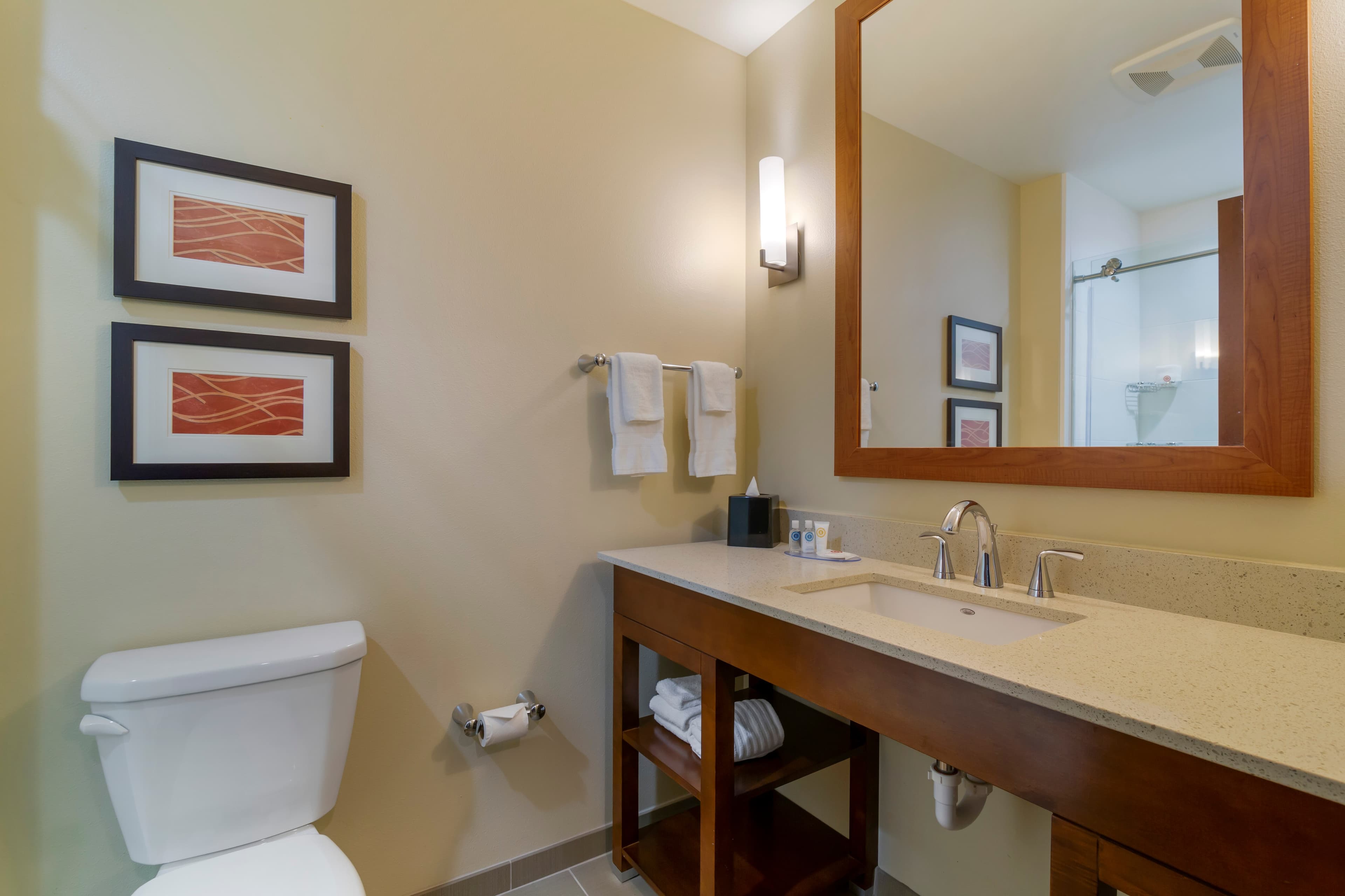 Comfort Inn & Suites Mandan - Bismarck - Image 5