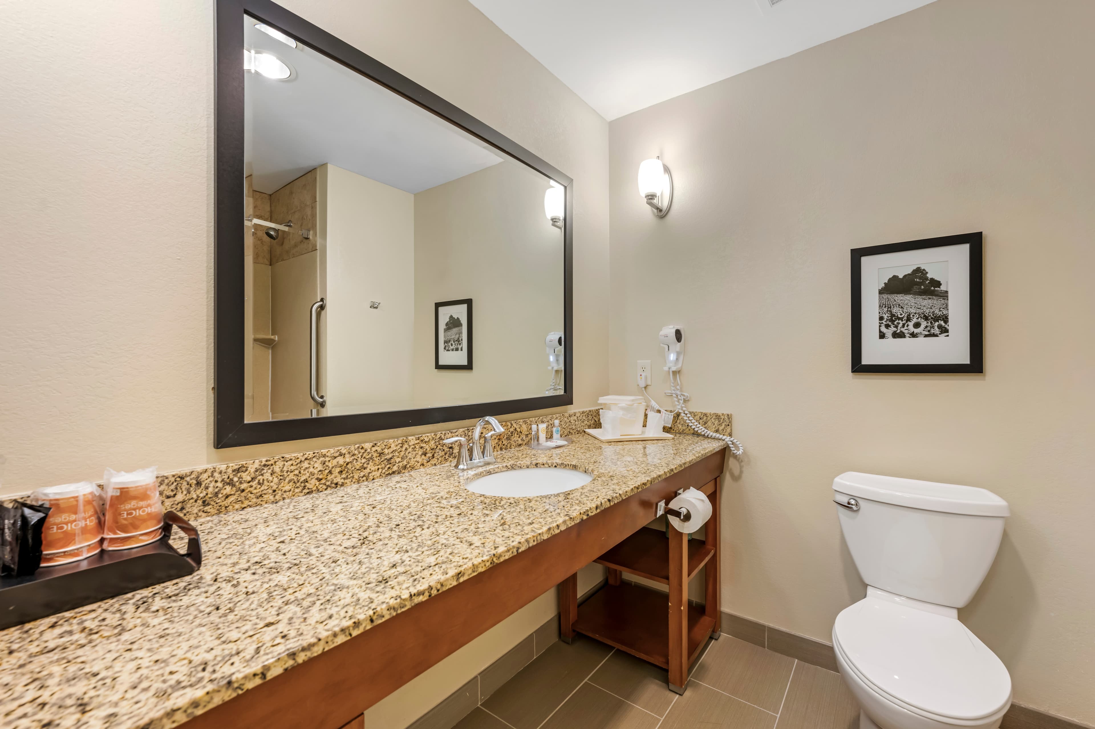 Comfort Suites East Lincoln - Mall Area — 21