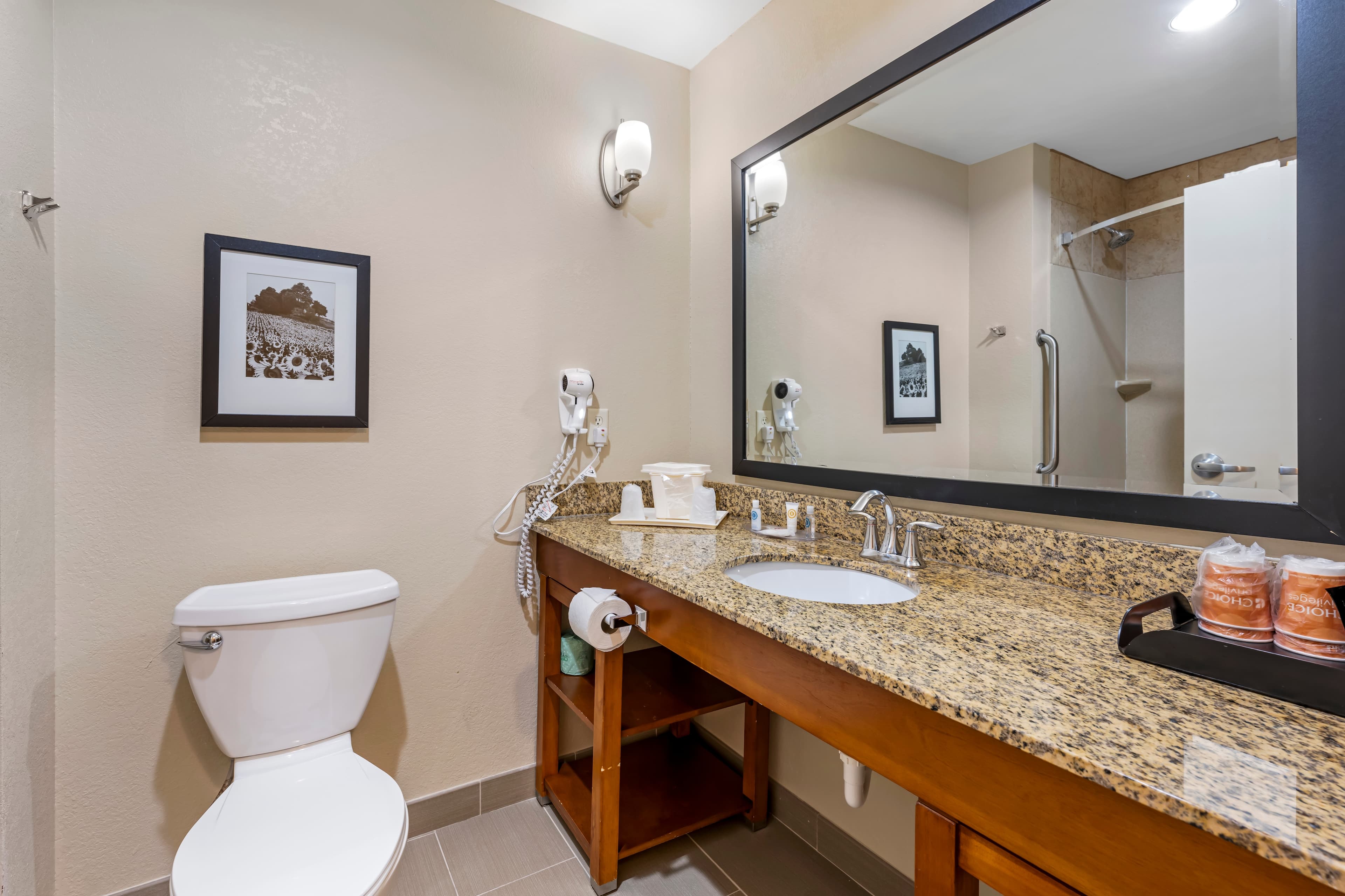 Comfort Suites East Lincoln - Mall Area — 17