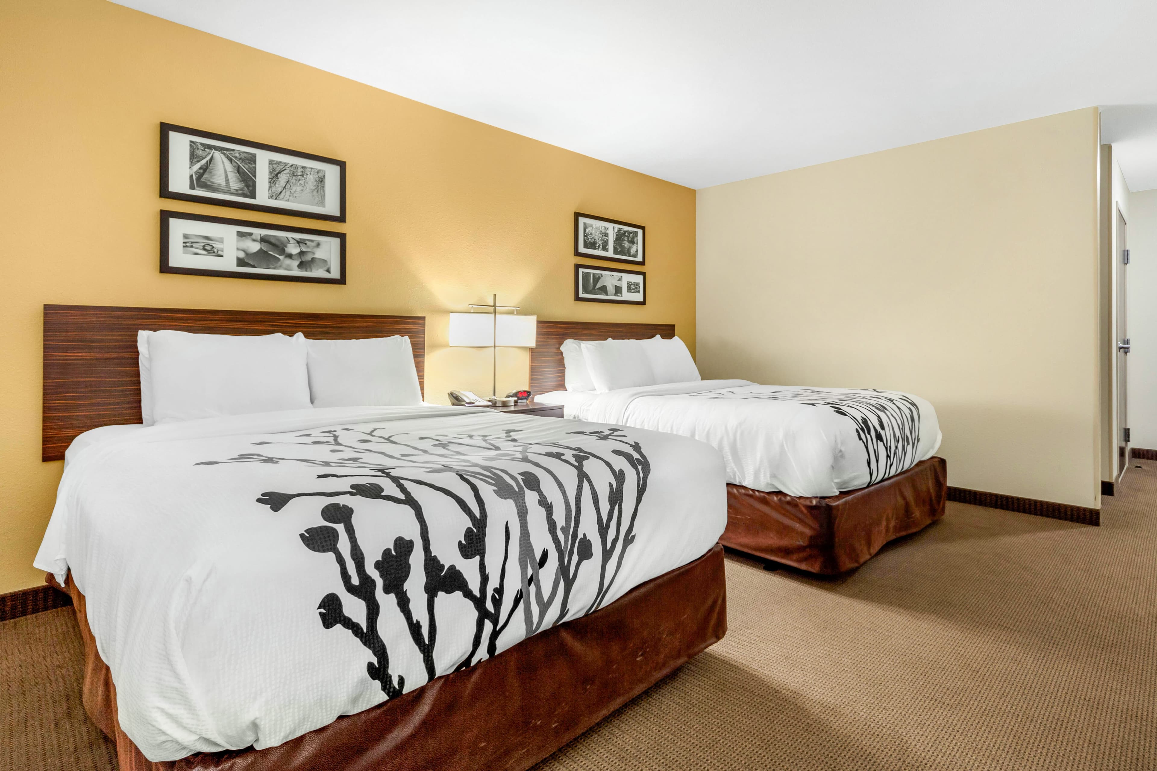 Sleep Inn & Suites Lincoln University Area - Image 2