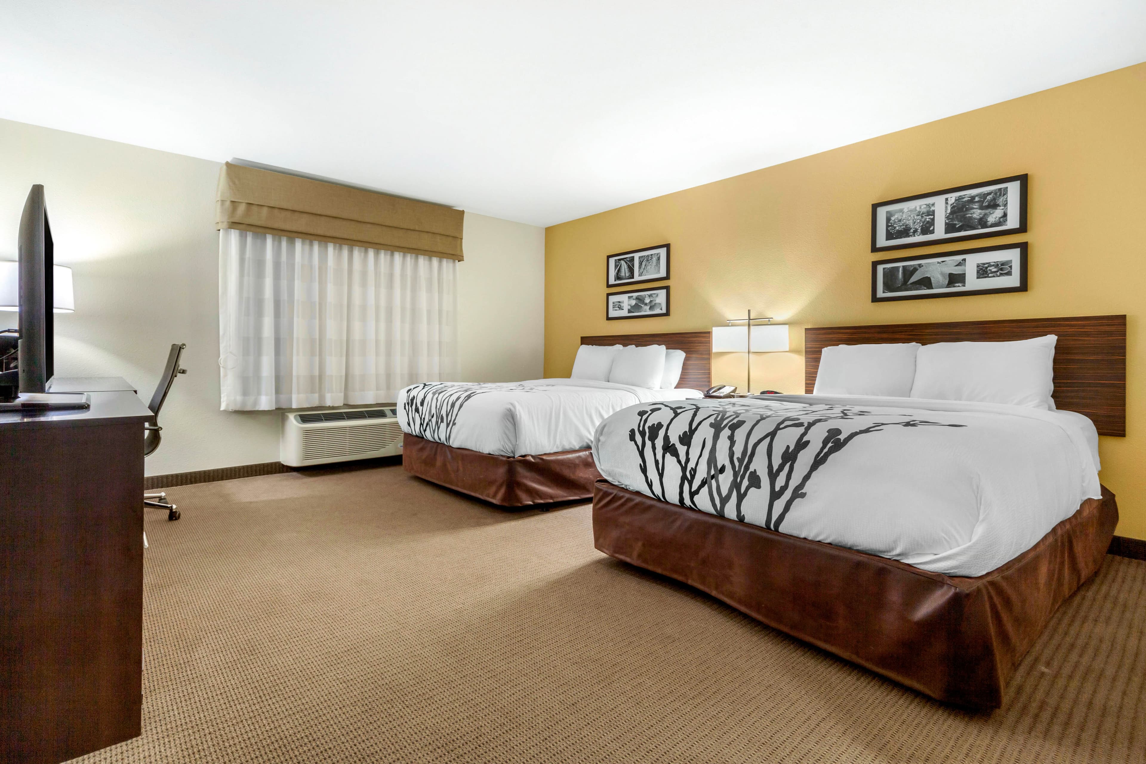 Sleep Inn & Suites Lincoln University Area - Image 3