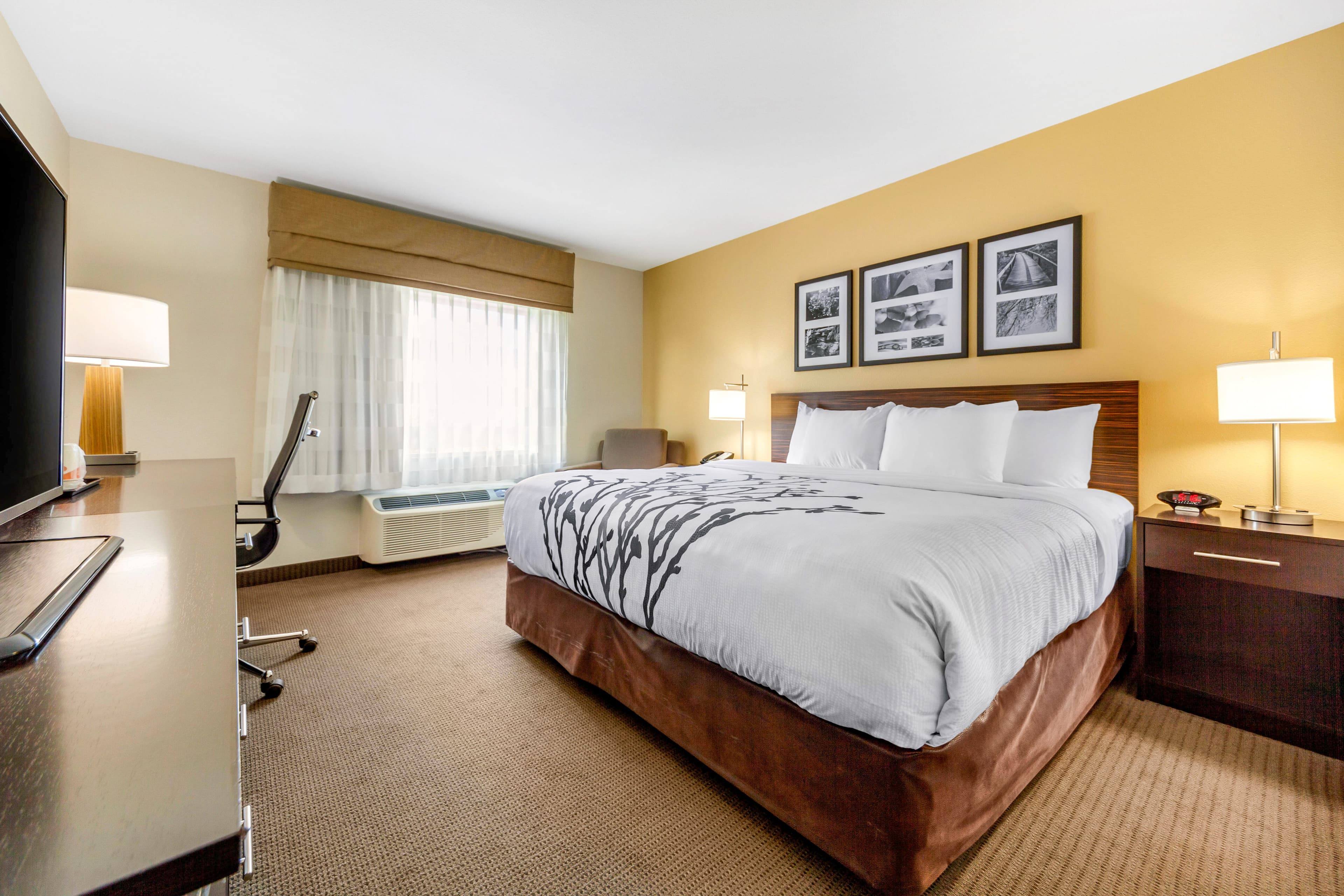 Sleep Inn & Suites Lincoln University Area - Image 1