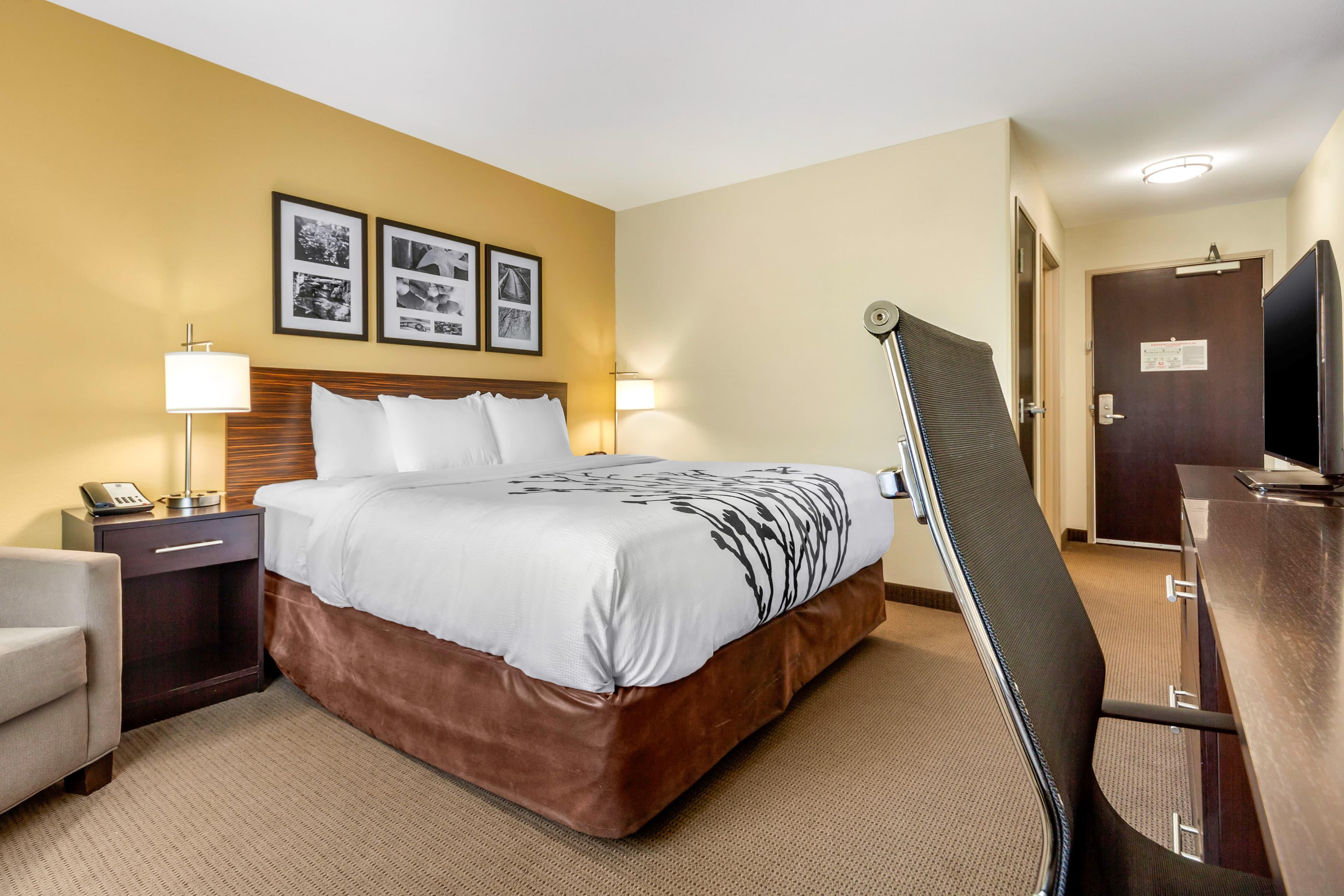 Sleep Inn & Suites Lincoln University Area — 9
