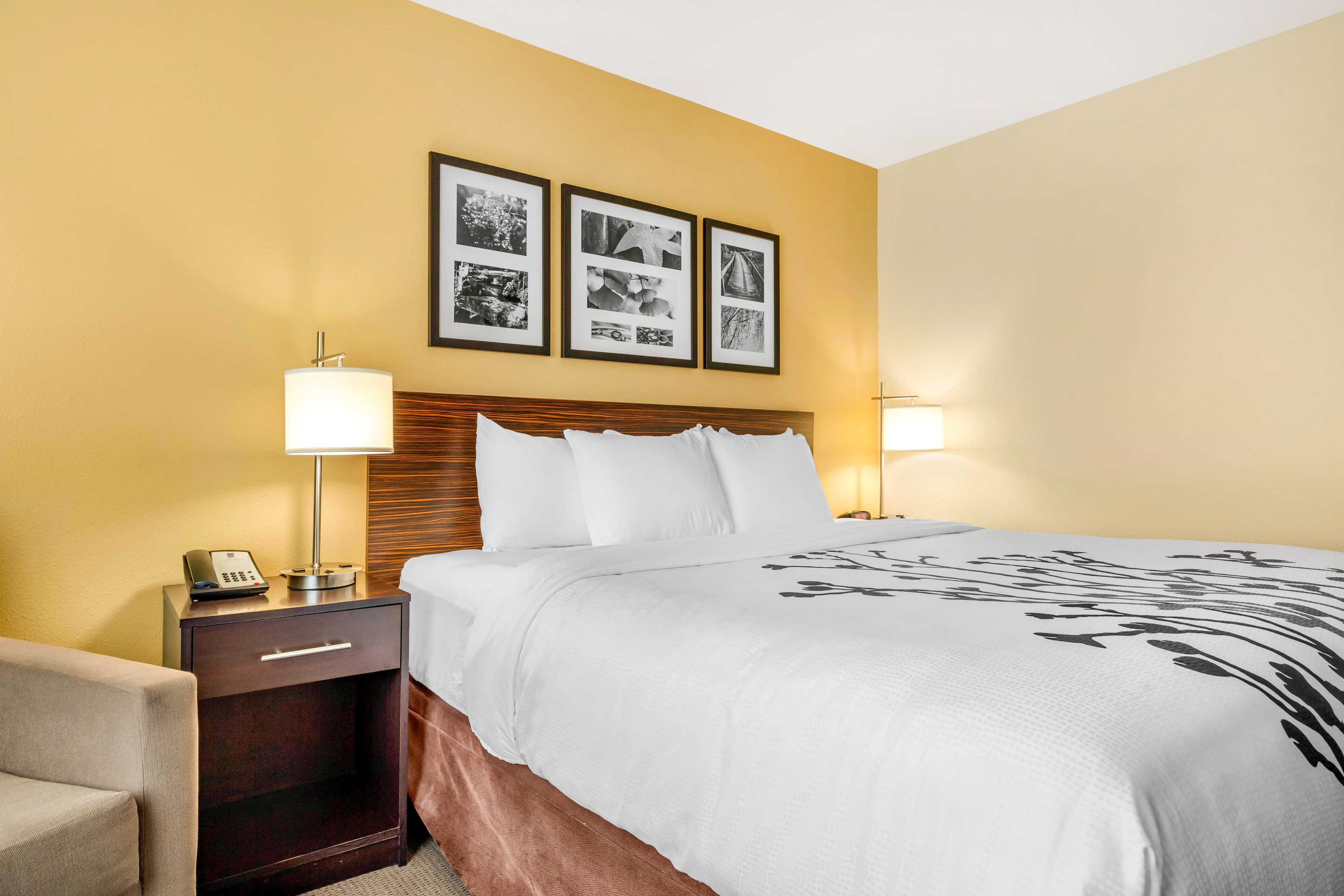 Sleep Inn & Suites Lincoln University Area — 10