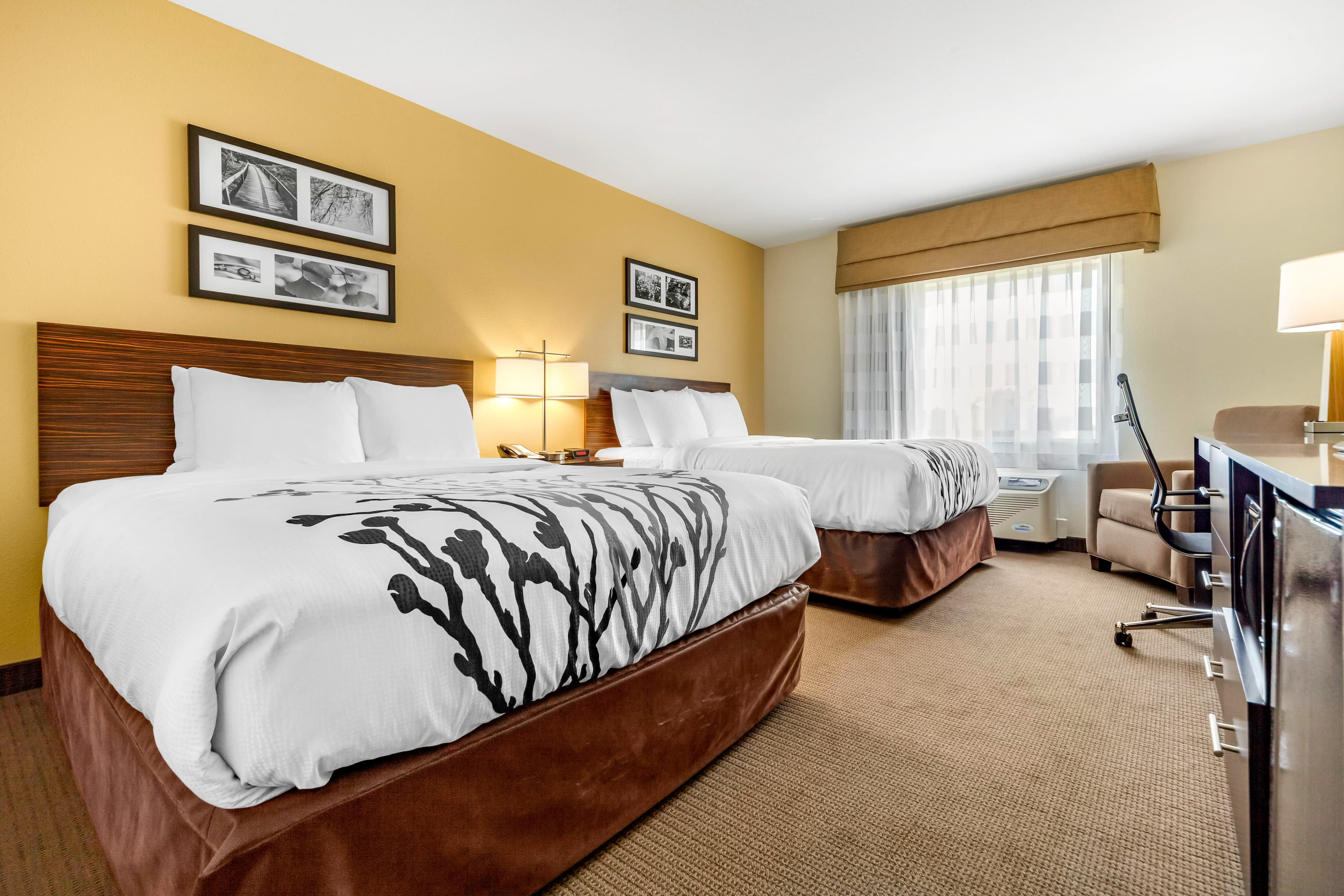 Sleep Inn & Suites Lincoln University Area — 13