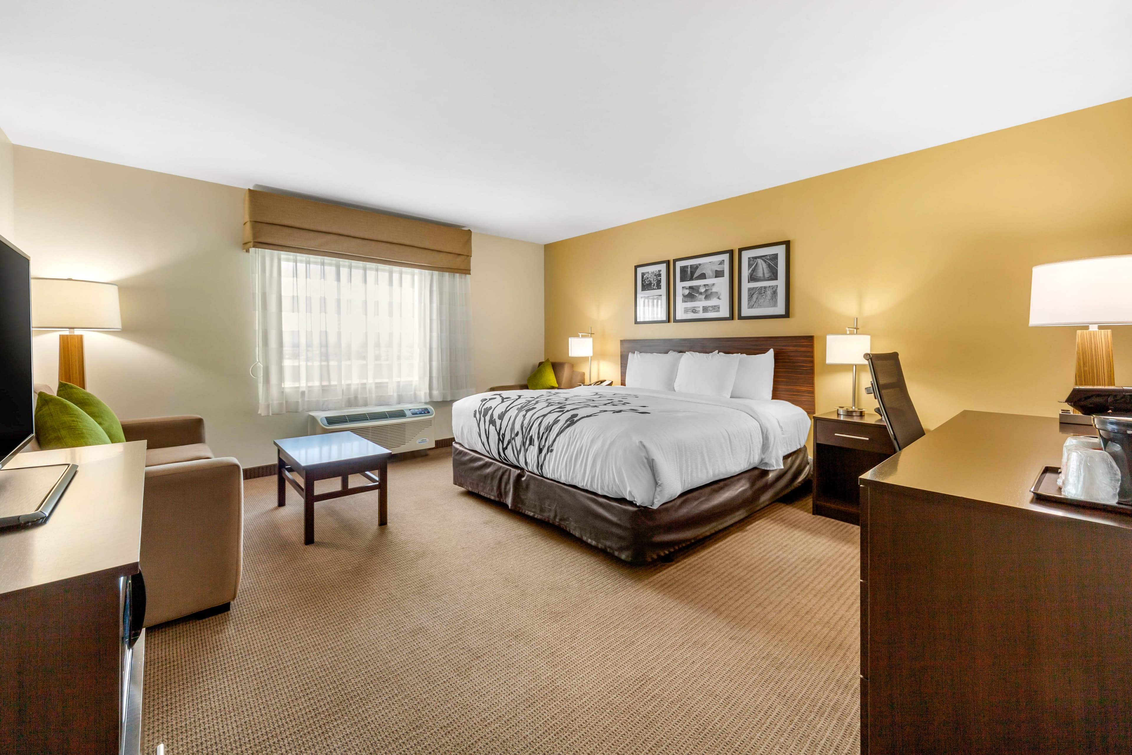Sleep Inn & Suites Lincoln University Area — 19