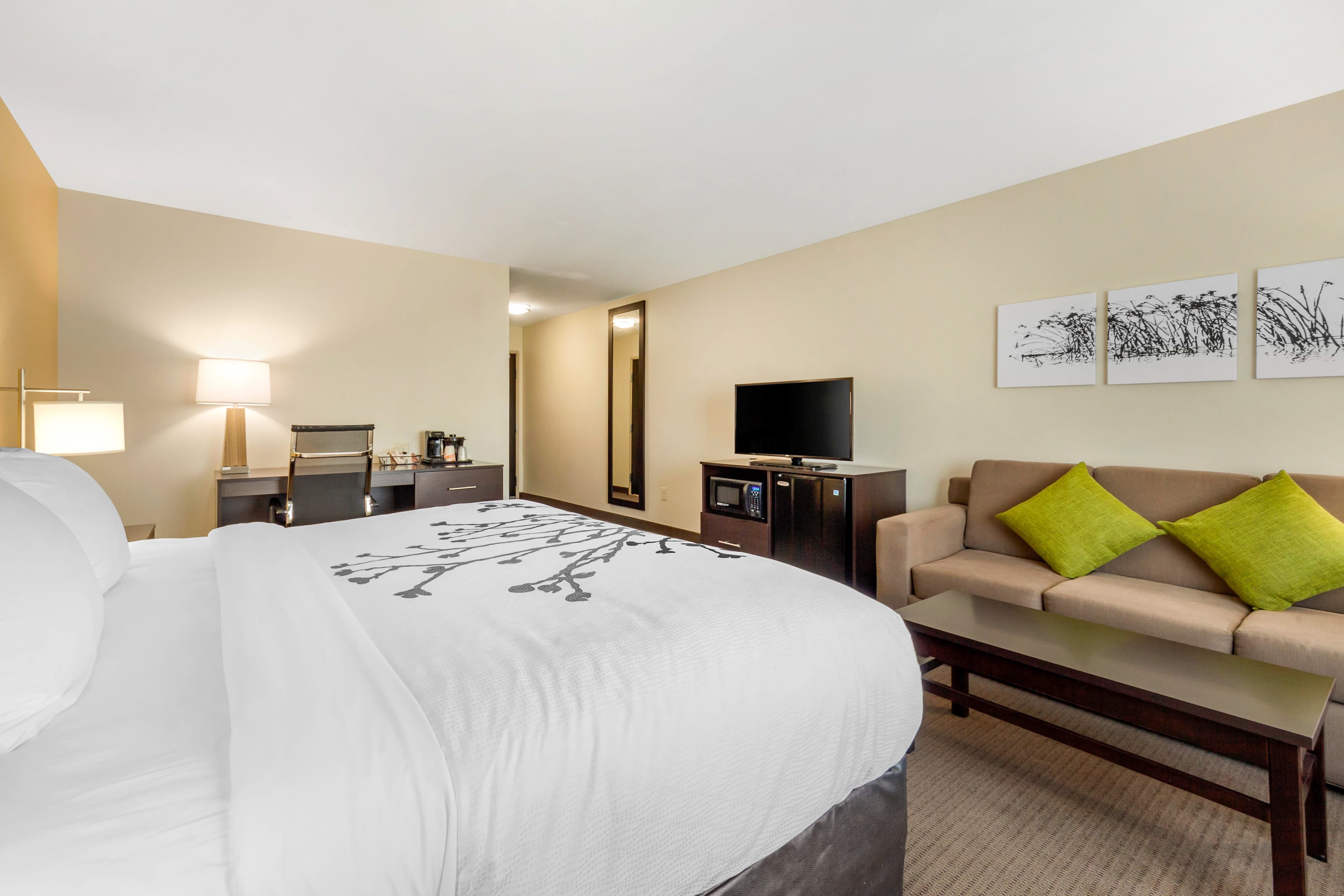 Sleep Inn & Suites Lincoln University Area — 20