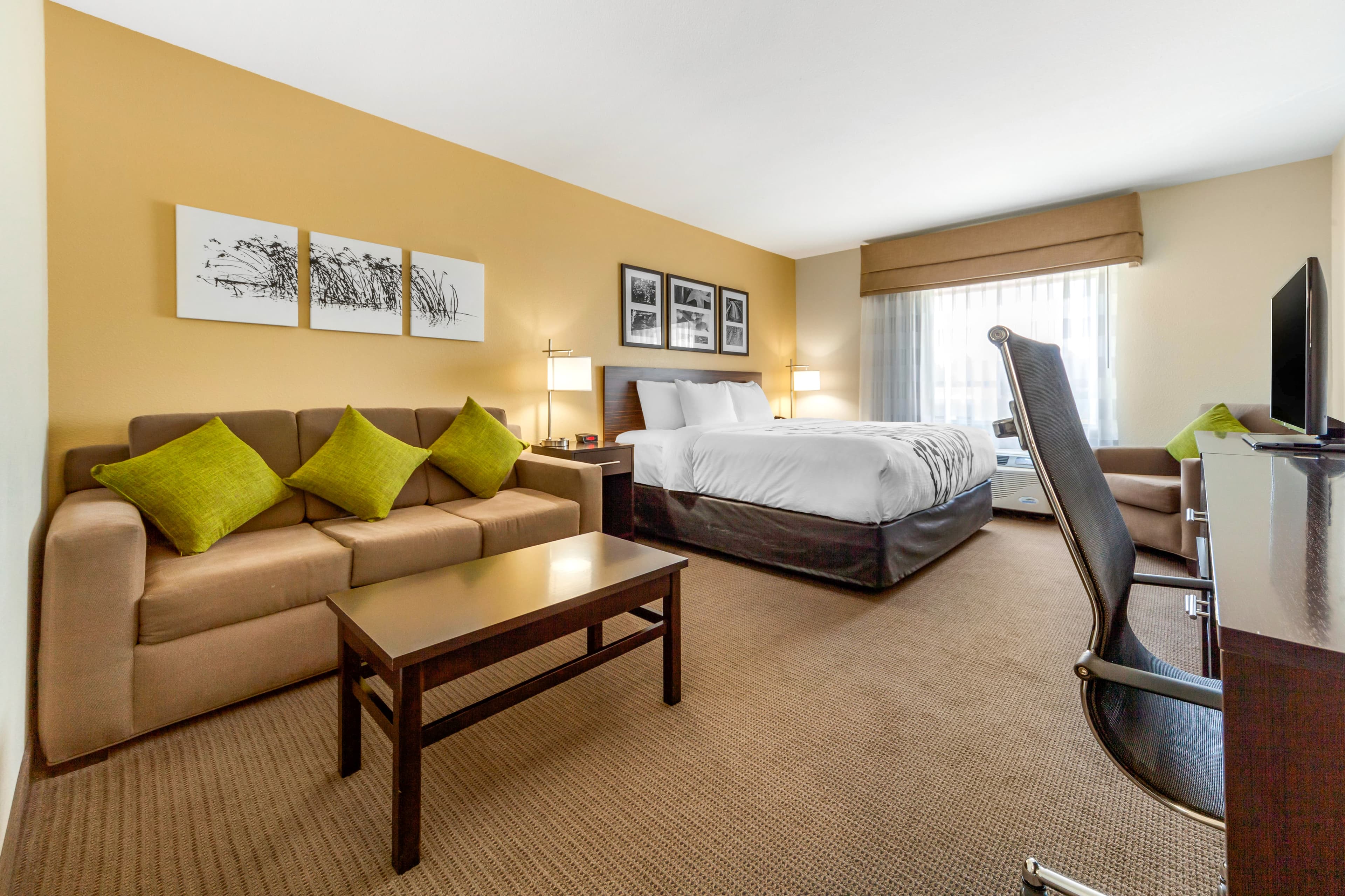 Sleep Inn & Suites Lincoln University Area — 25