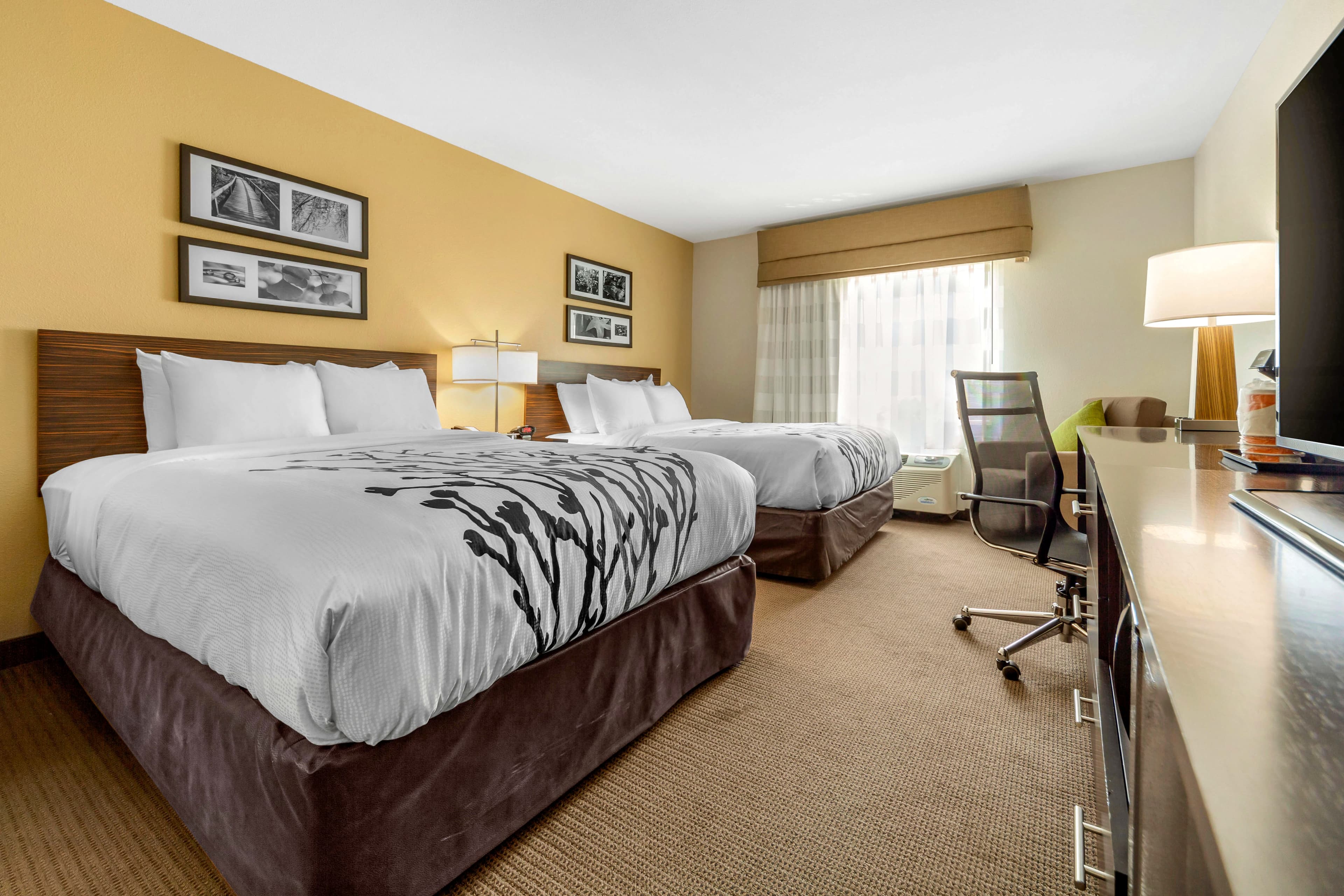 Sleep Inn & Suites Lincoln University Area — 24
