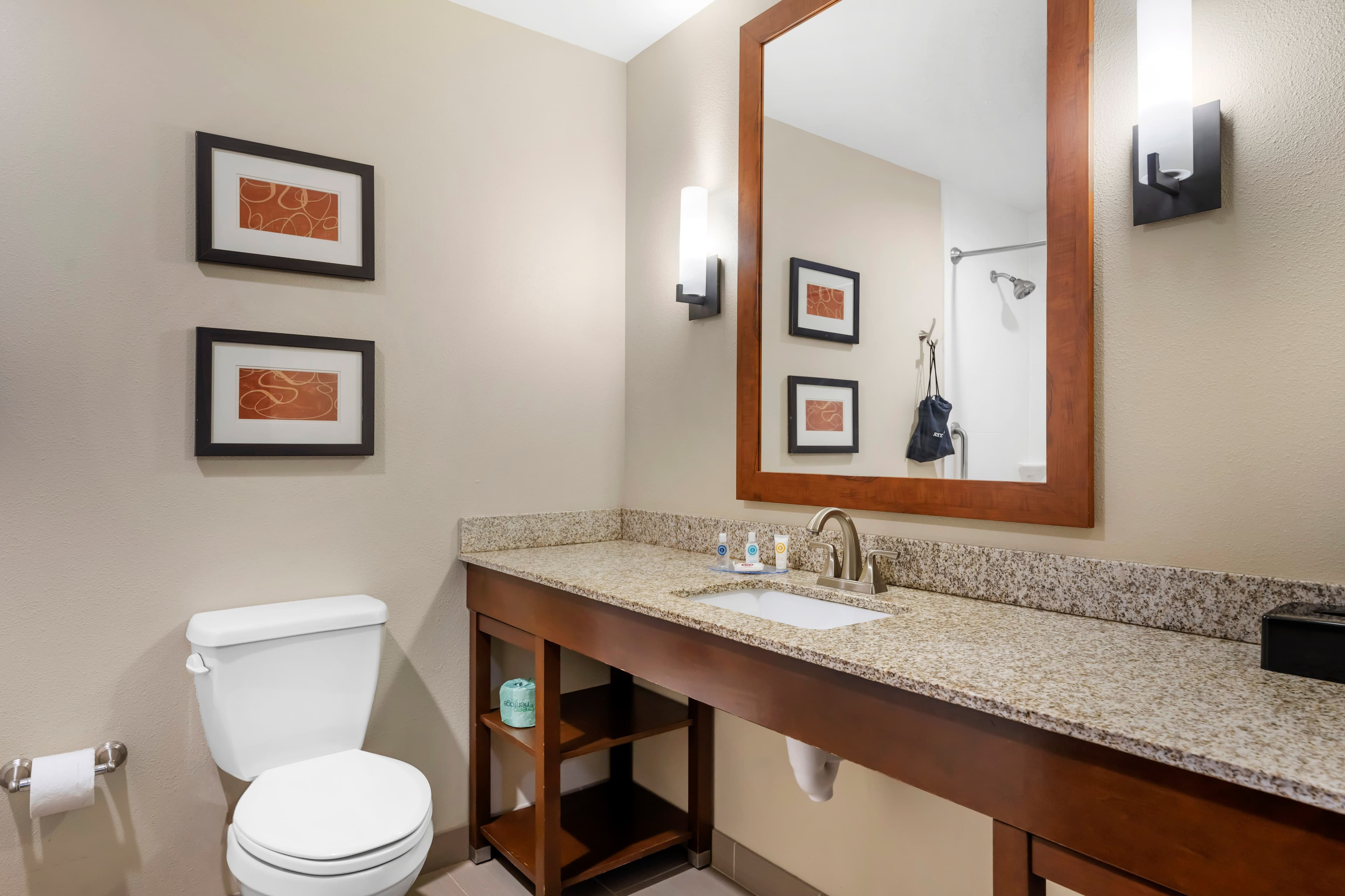 Comfort Suites West Omaha — 28