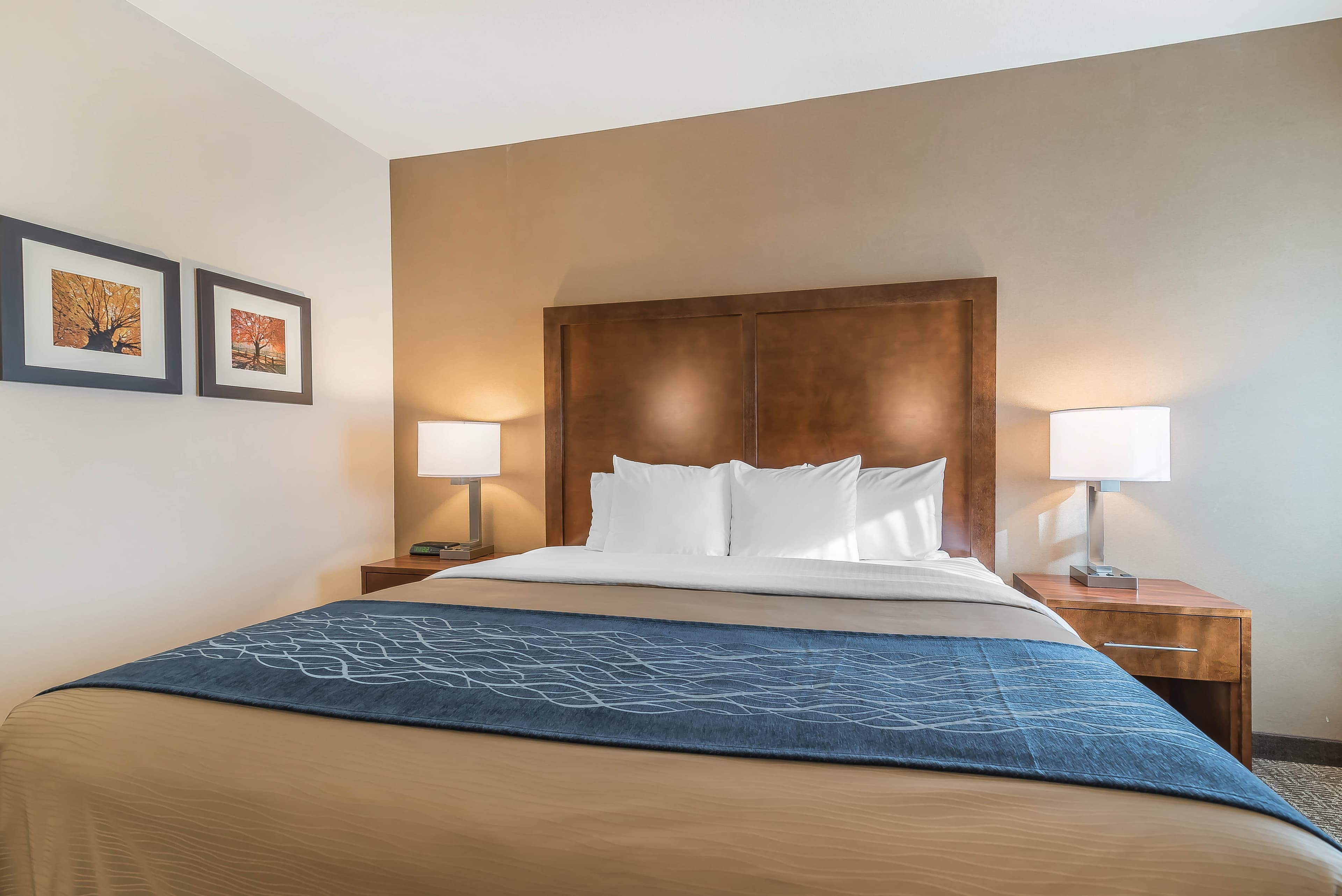 Comfort Inn Concord South End — 3