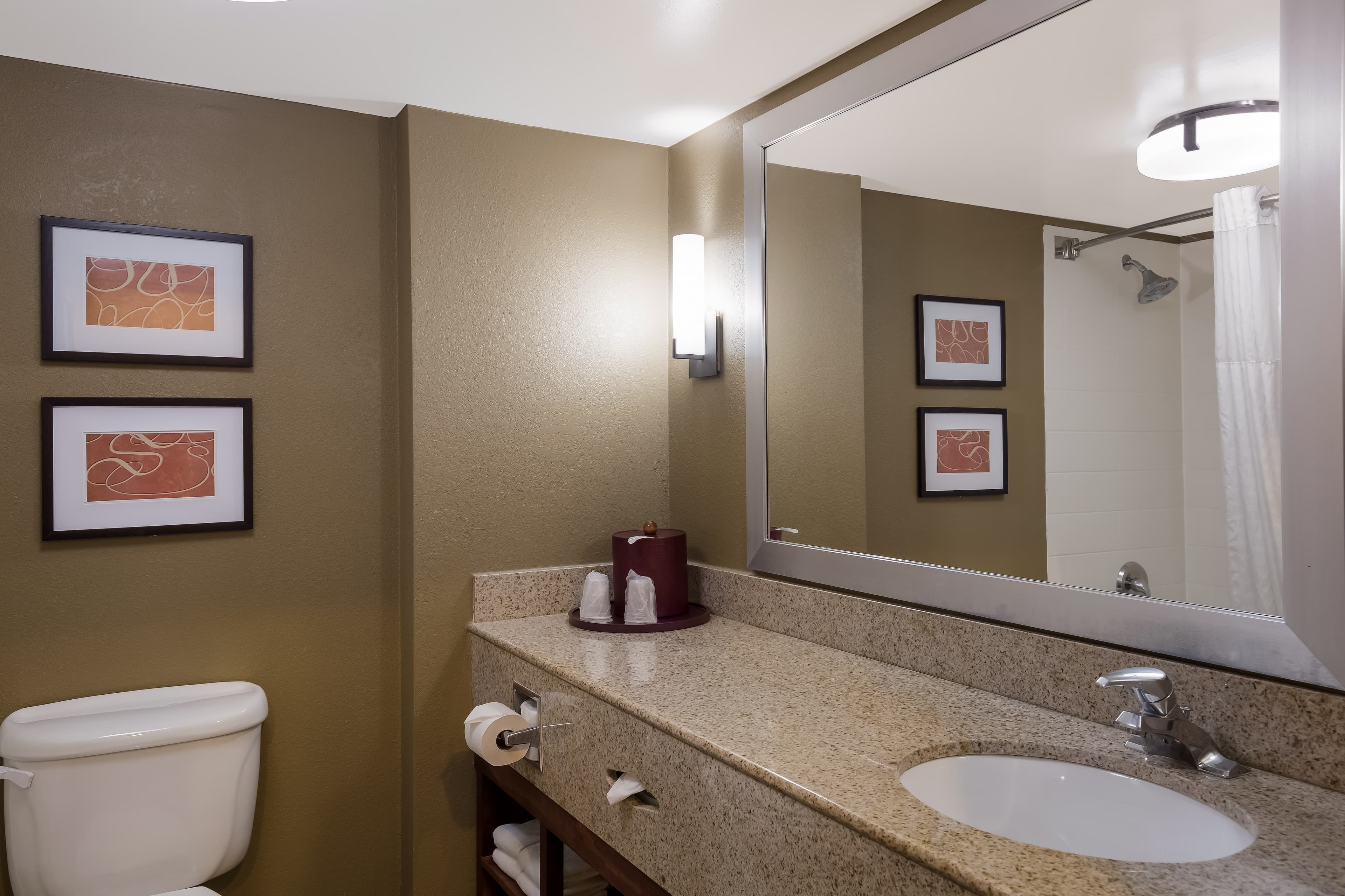 Comfort Suites Near University — 3
