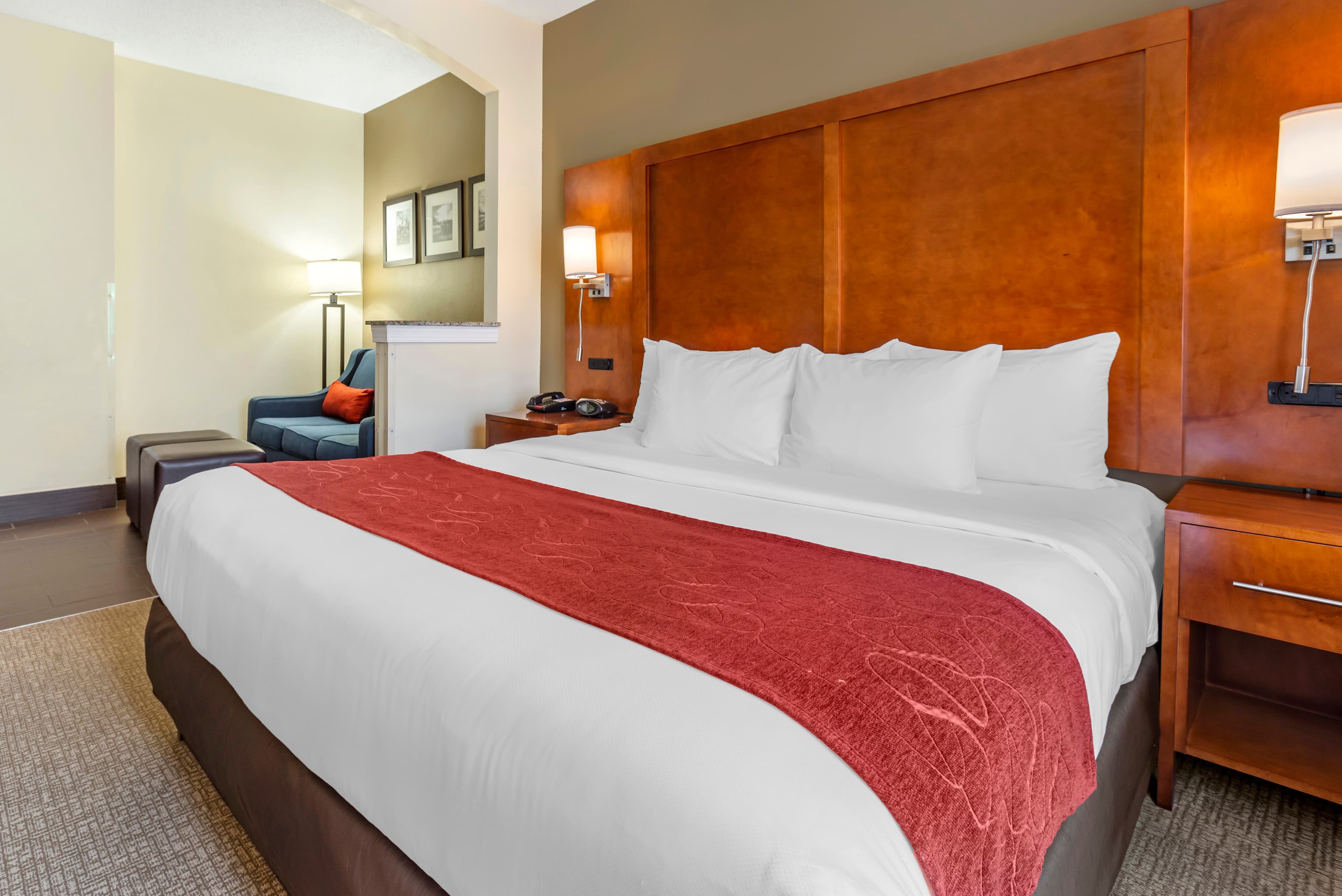 Comfort Suites Newark - Harrison - Image 4