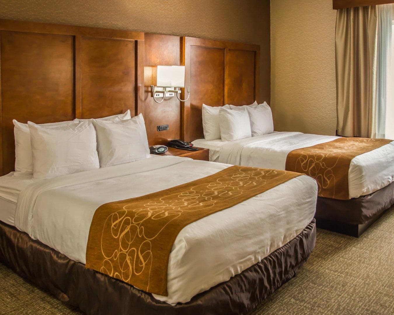 Quality Suites NYC Gateway — 7
