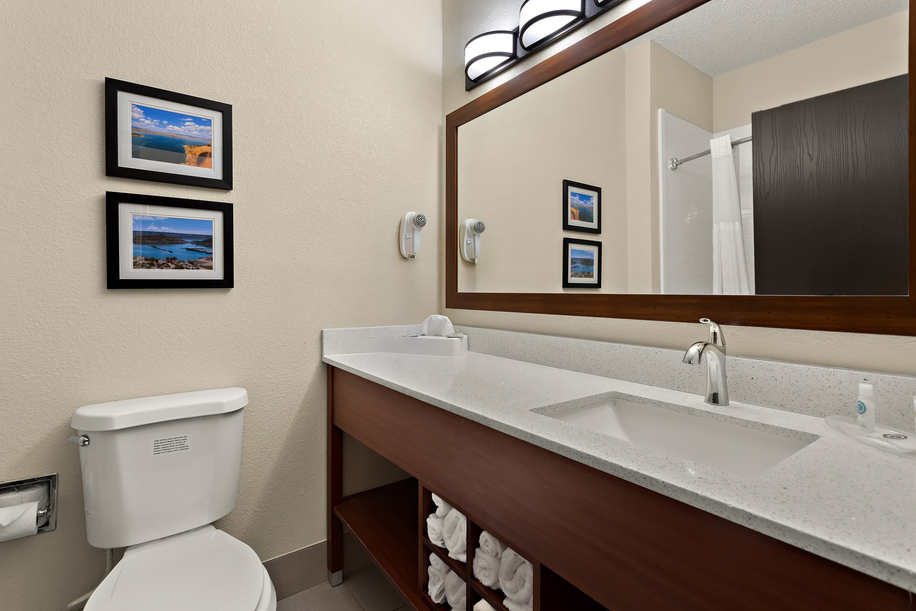 Comfort Suites University — 10
