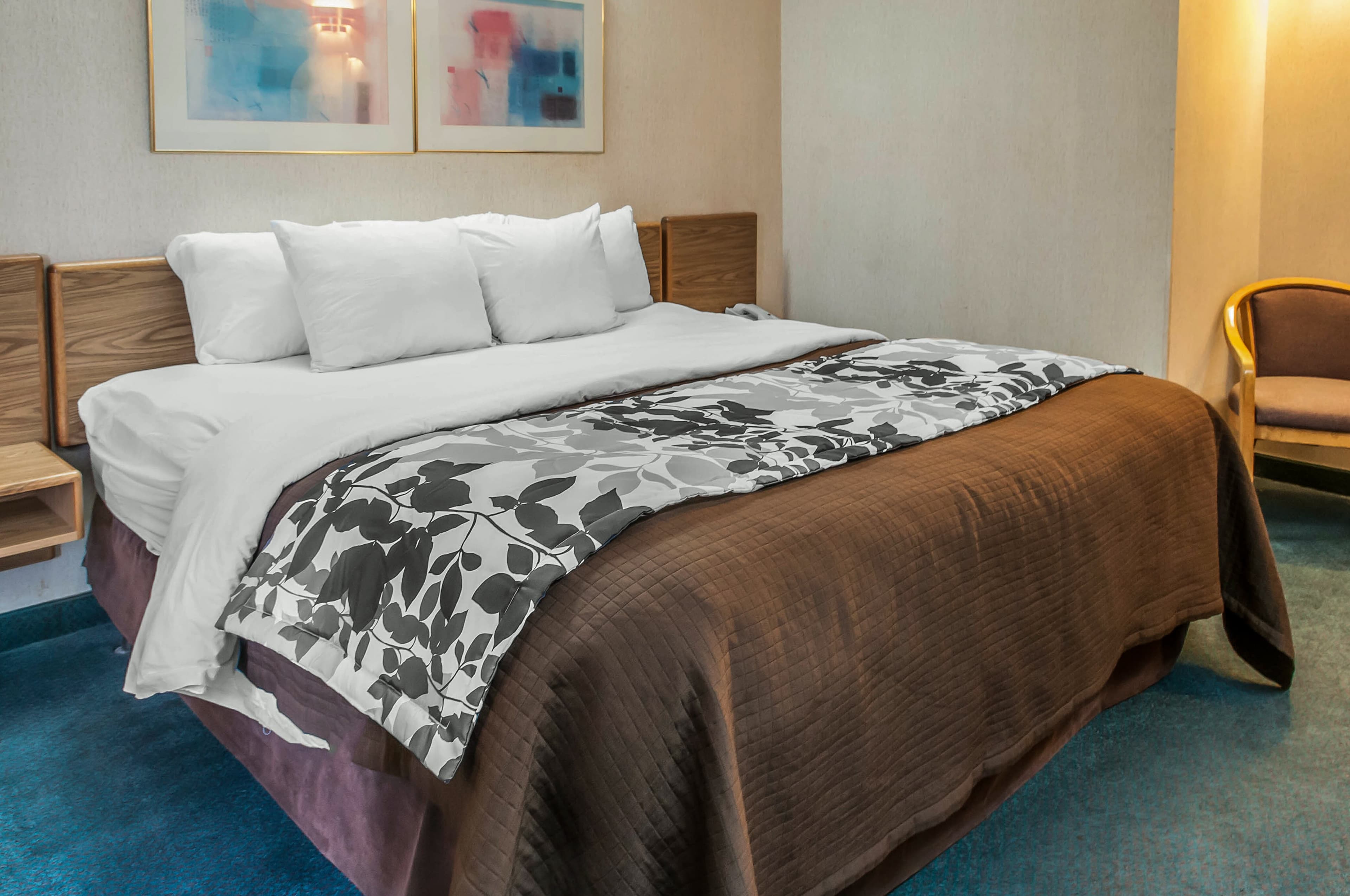 Sleep Inn University - Image 4
