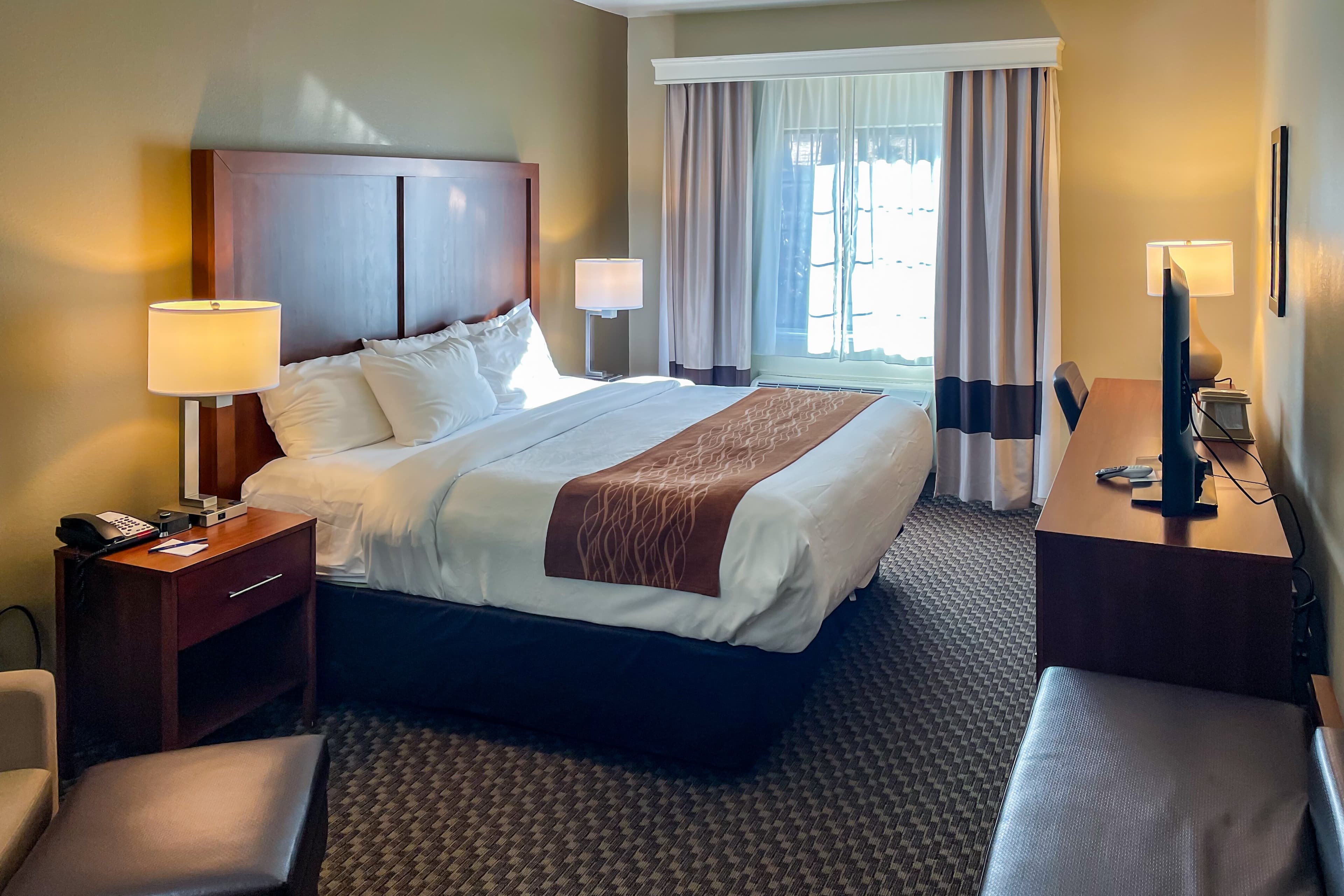 Comfort Inn & Suites Midtown - Image 2