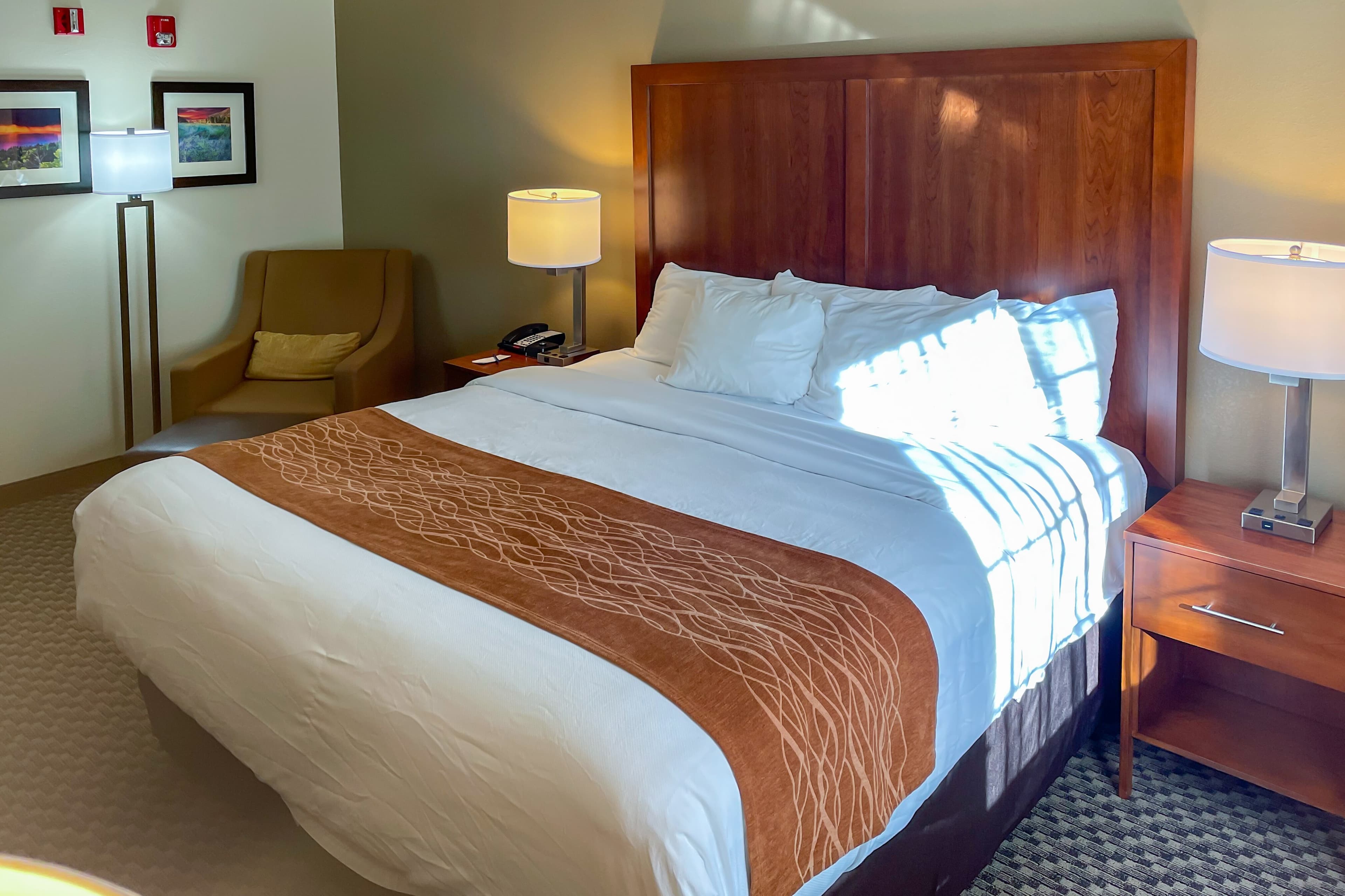 Comfort Inn & Suites Midtown - Image 4
