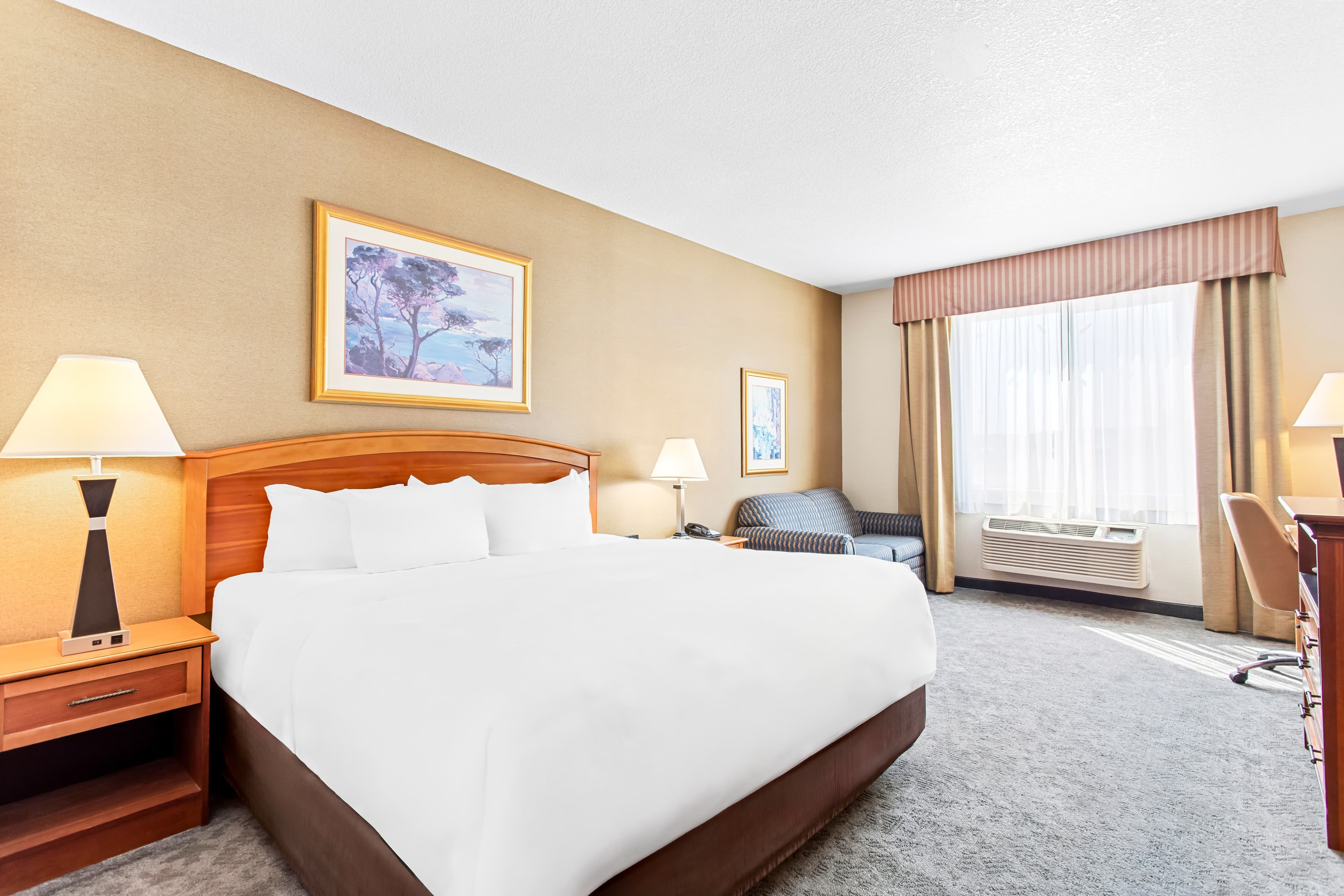 Comfort Inn & Suites I-25 near Spaceport America - Image 2