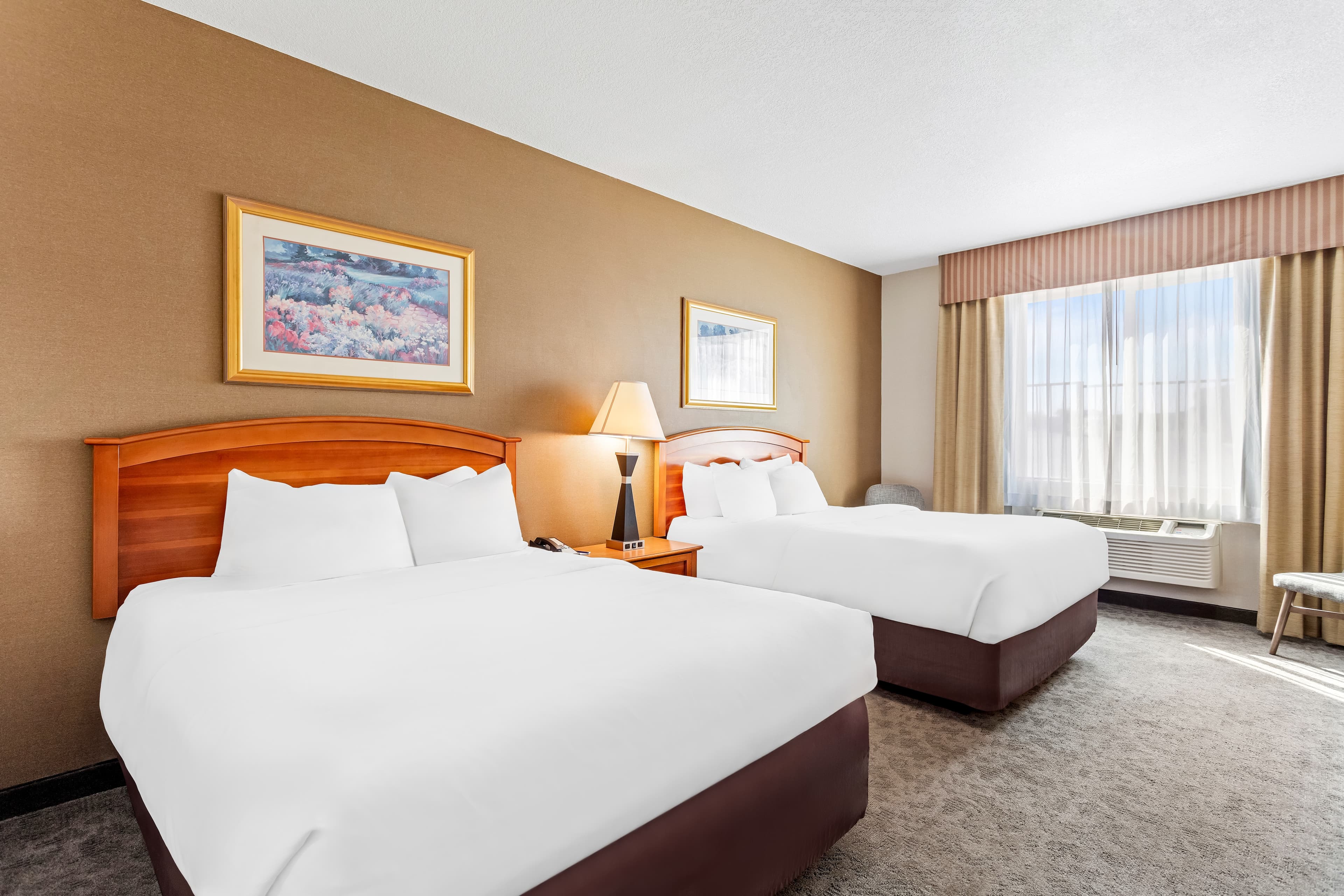 Comfort Inn & Suites I-25 near Spaceport America - Image 5
