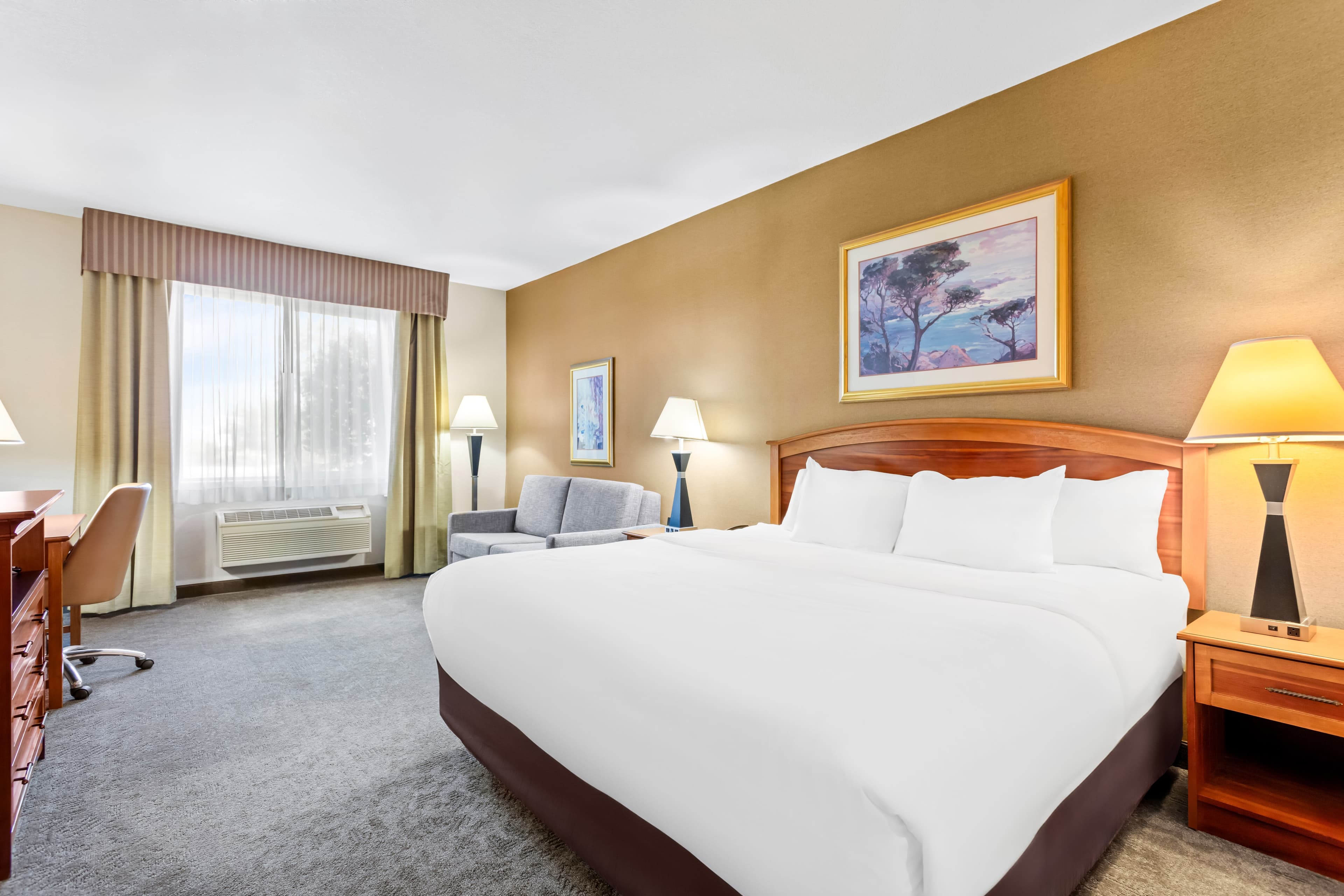 Comfort Inn & Suites I-25 near Spaceport America — 15
