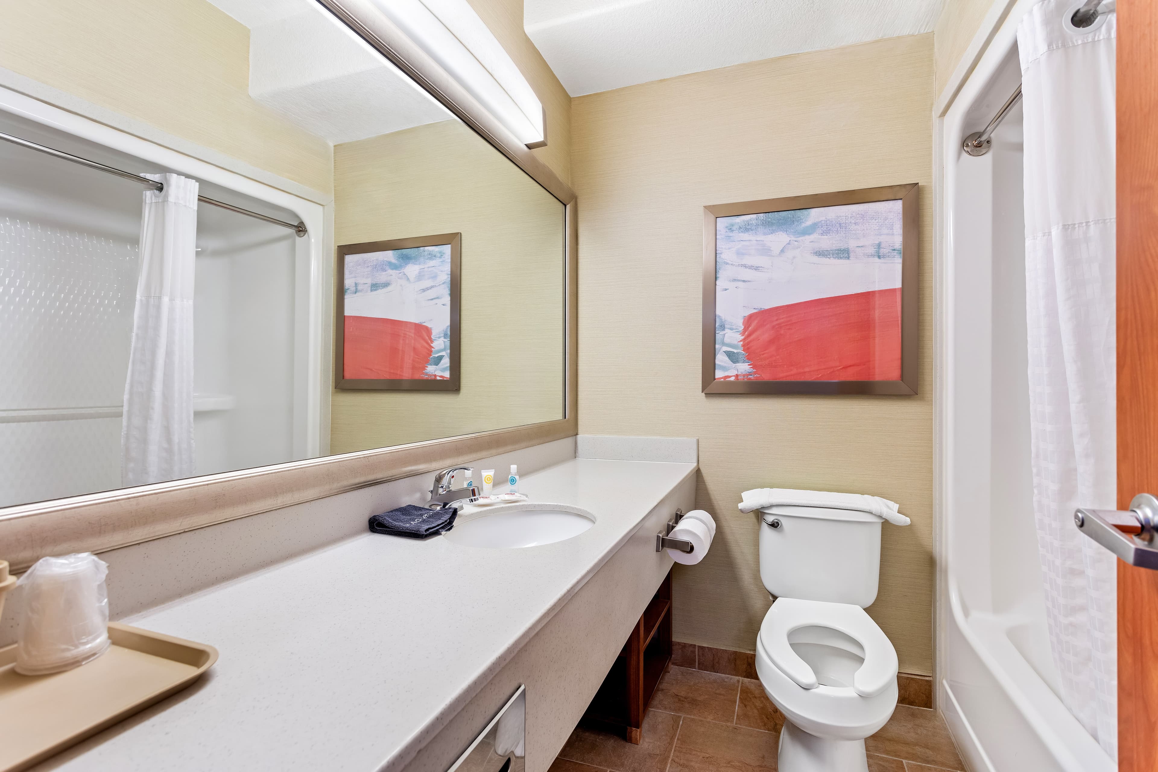 Comfort Inn & Suites I-25 near Spaceport America — 20