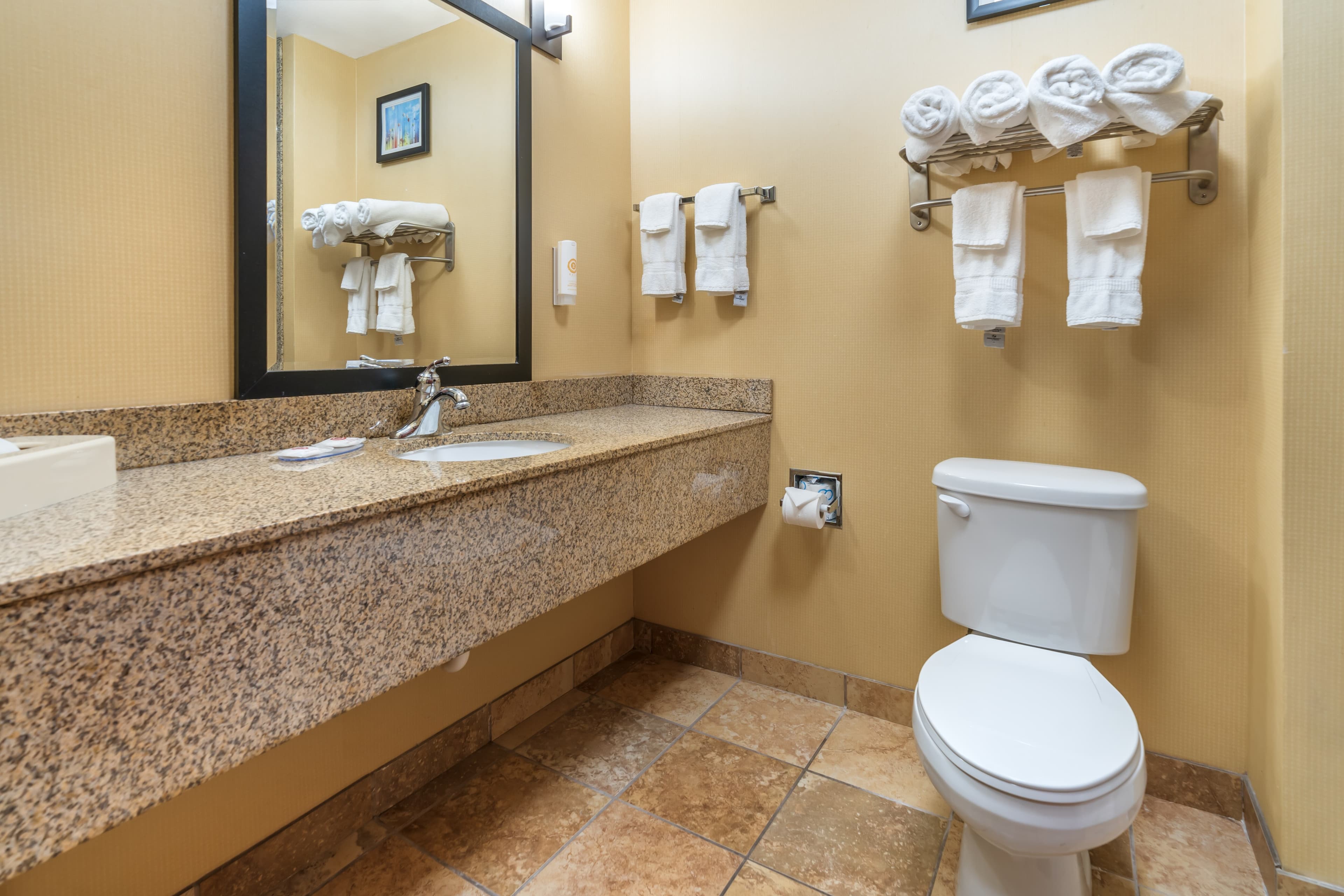 Comfort Suites Gallup East Route 66 and I-40 — 21