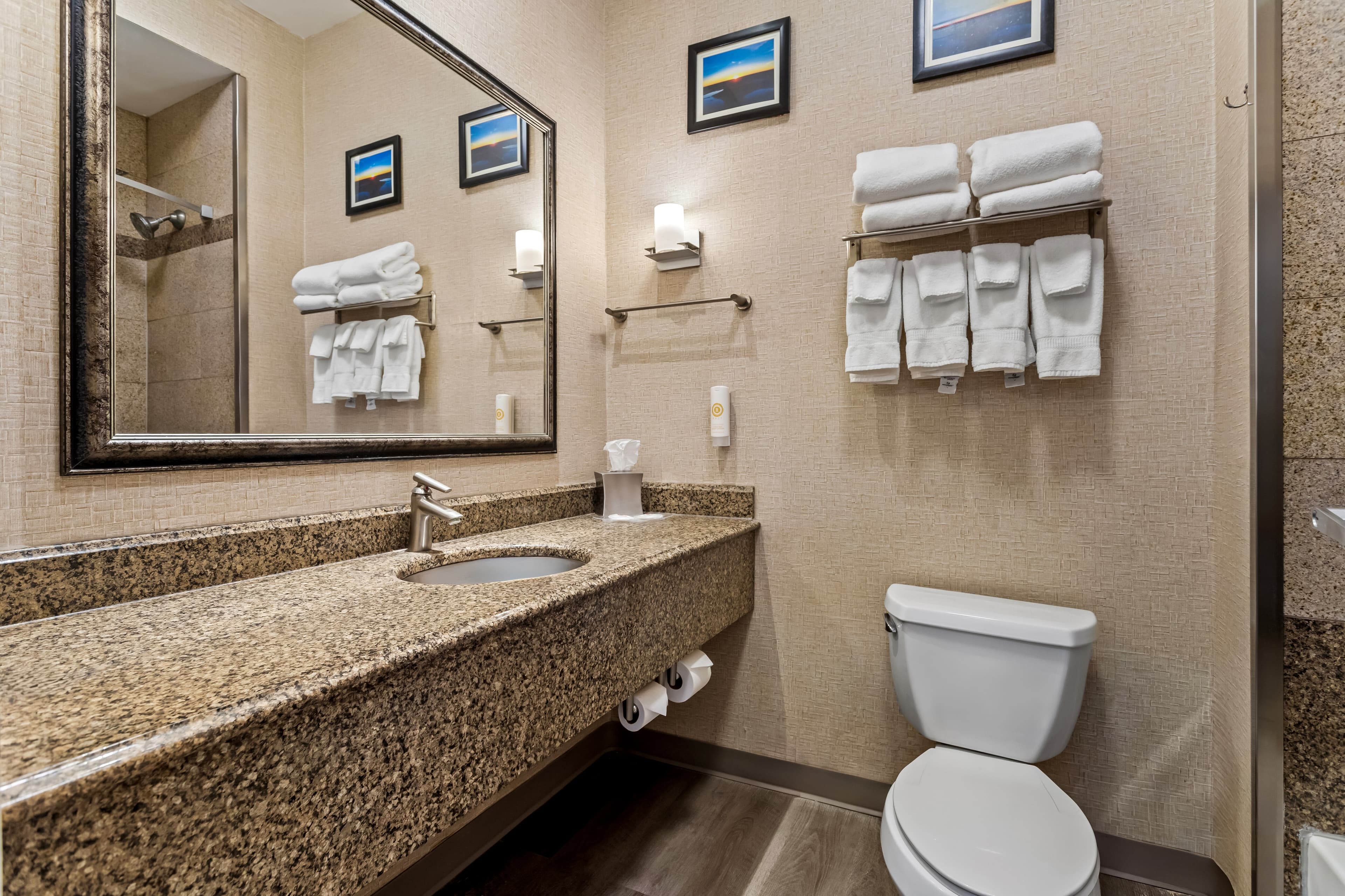 Comfort Suites Roswell North — 7