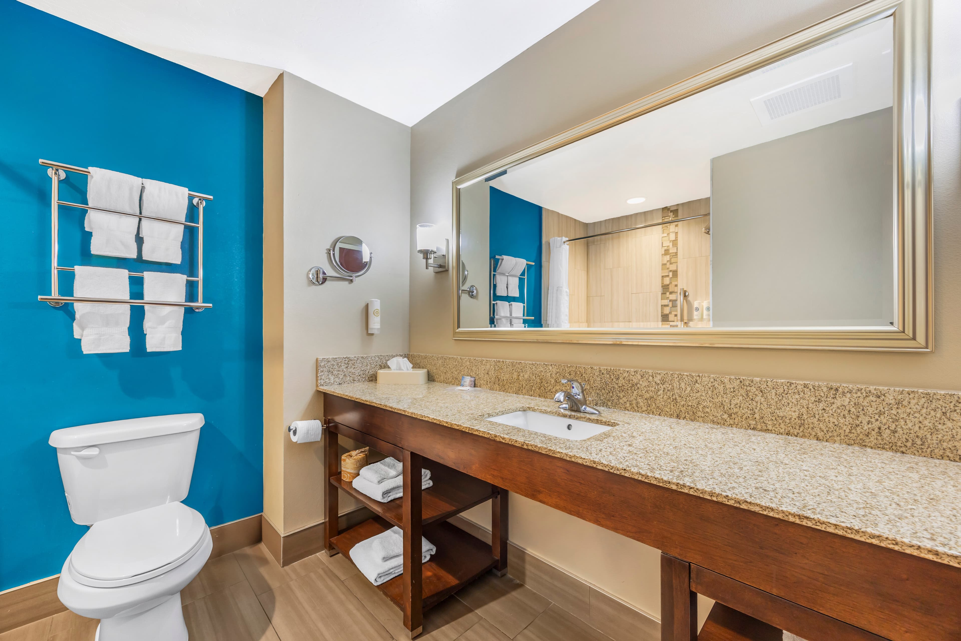 Comfort Suites Las Cruces I - 25 North — 9