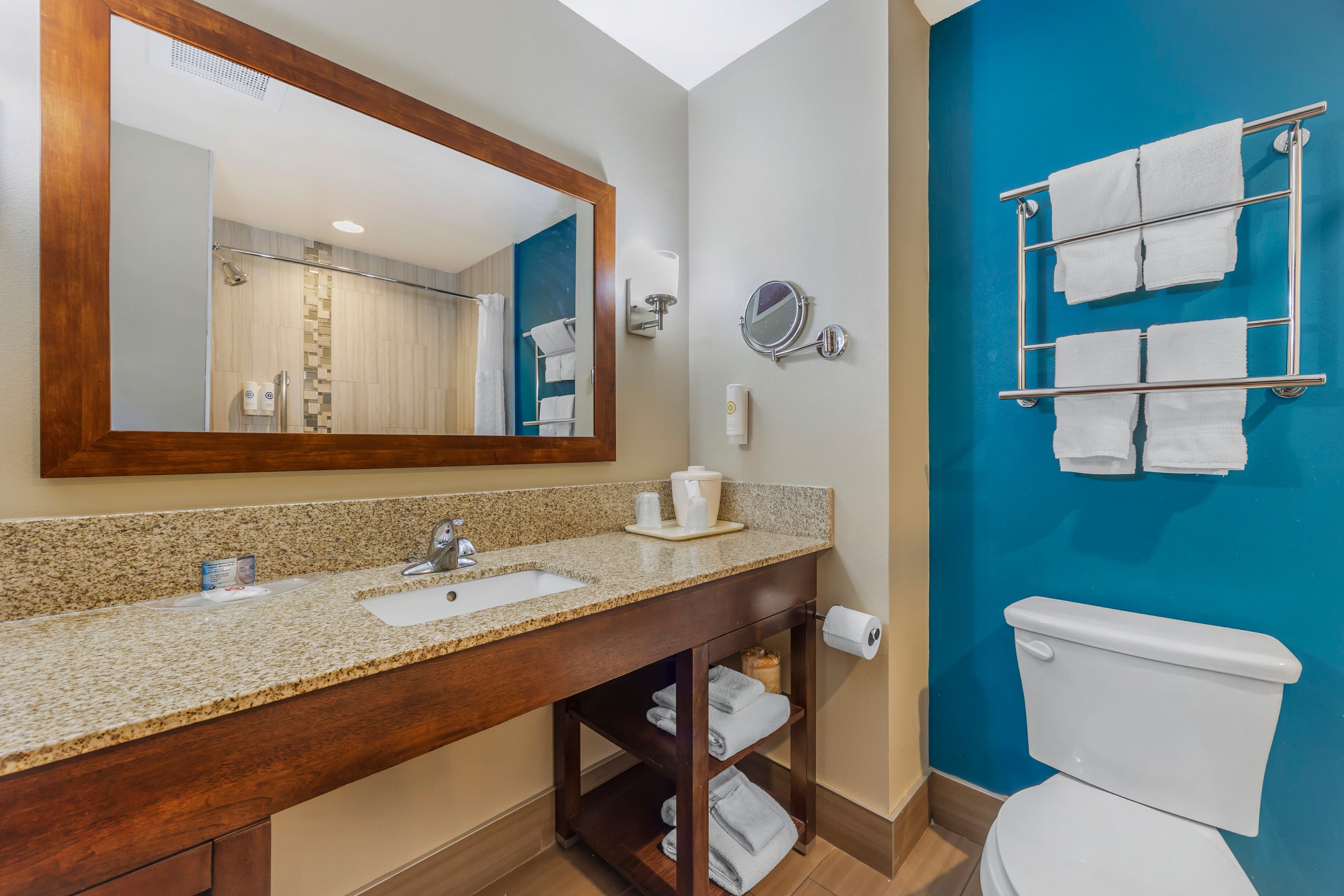 Comfort Suites Las Cruces I - 25 North — 24