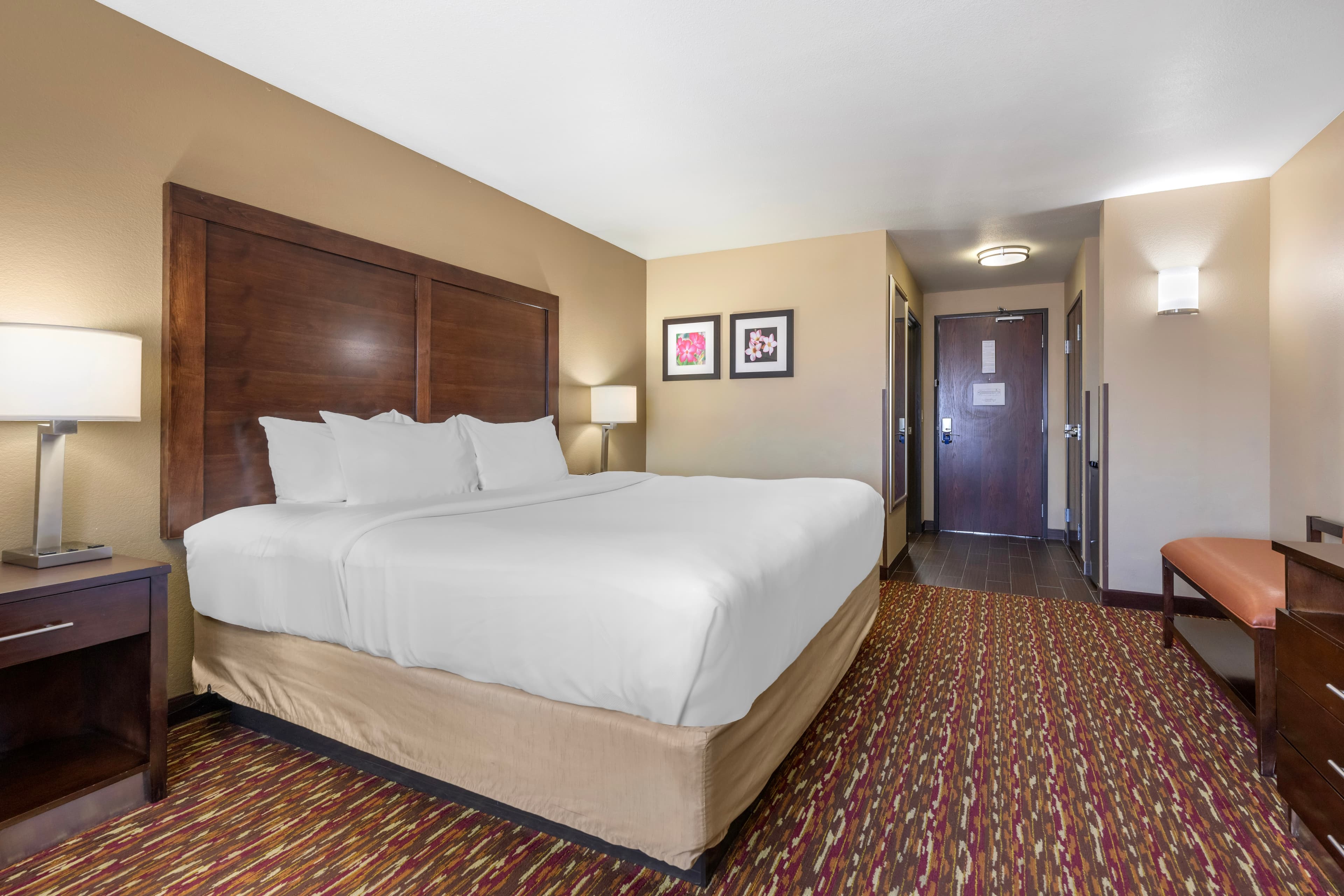Comfort Inn & Suites Artesia - Image 4