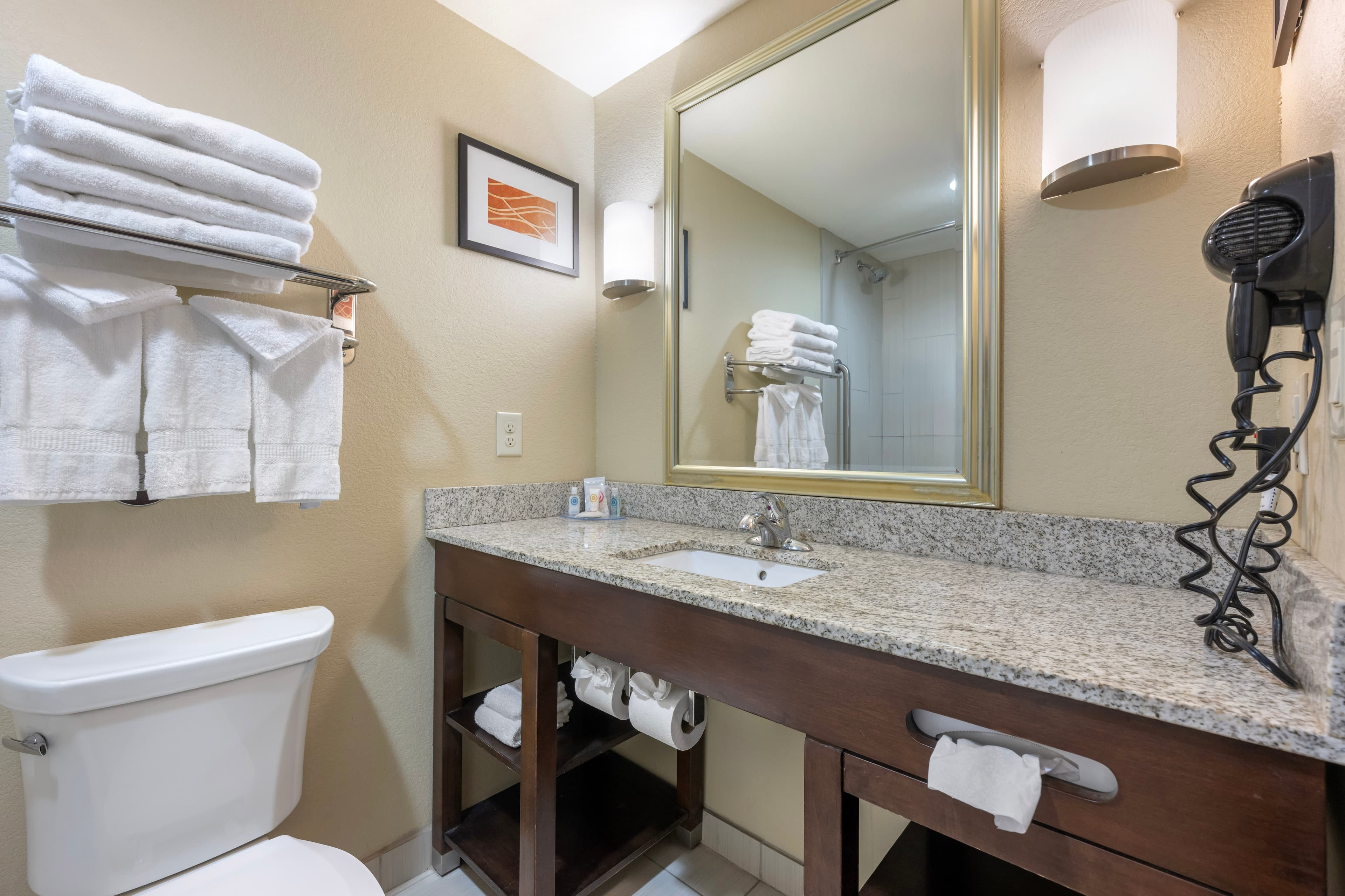 Comfort Inn & Suites Artesia — 17