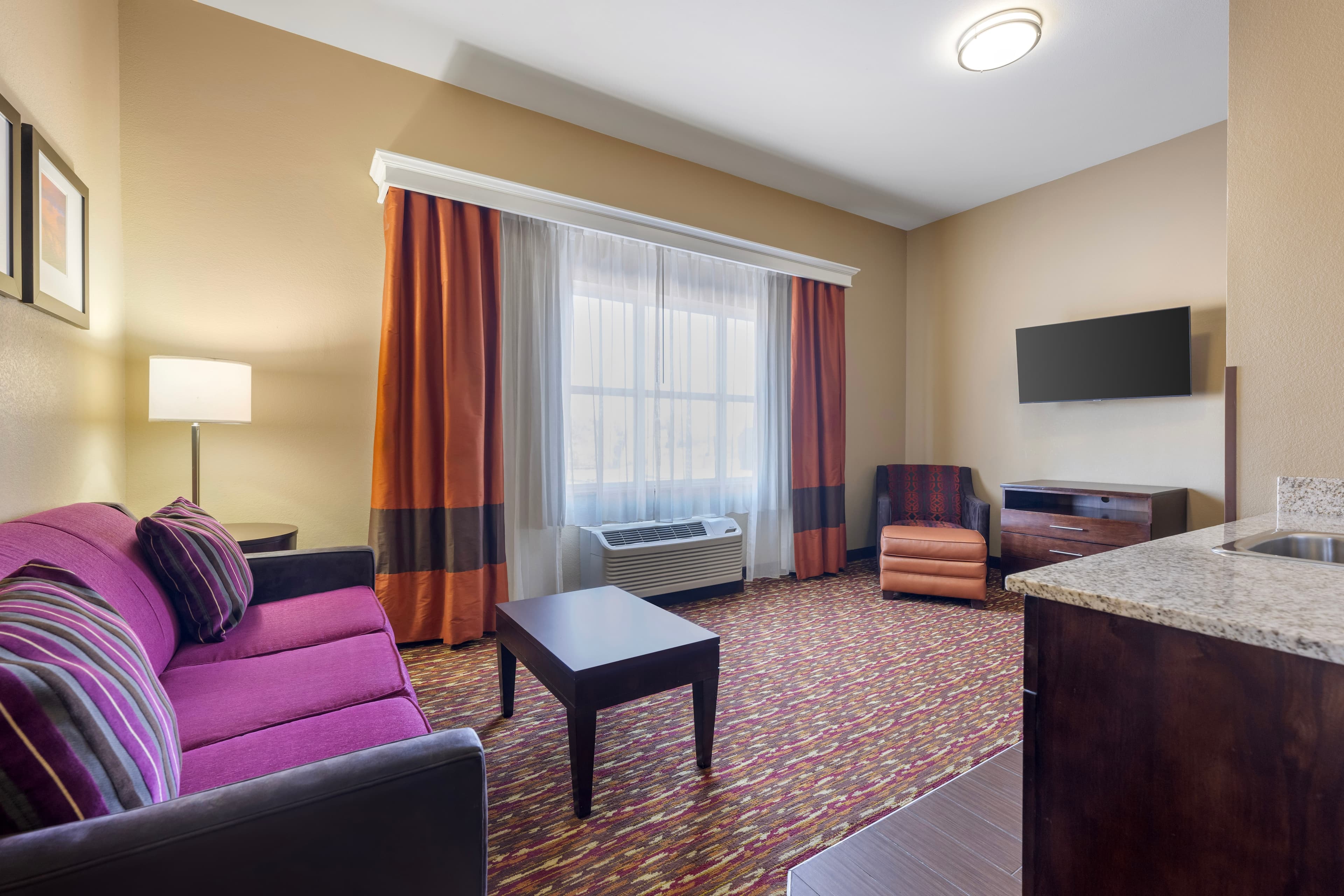 Comfort Inn & Suites Artesia — 19